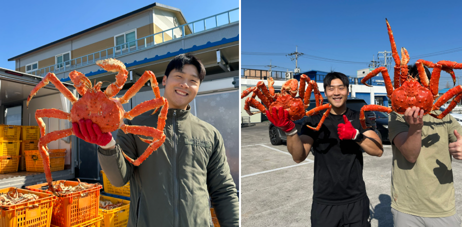 특A급 러시아 레드킹크랩 1kg (활/자숙선택)