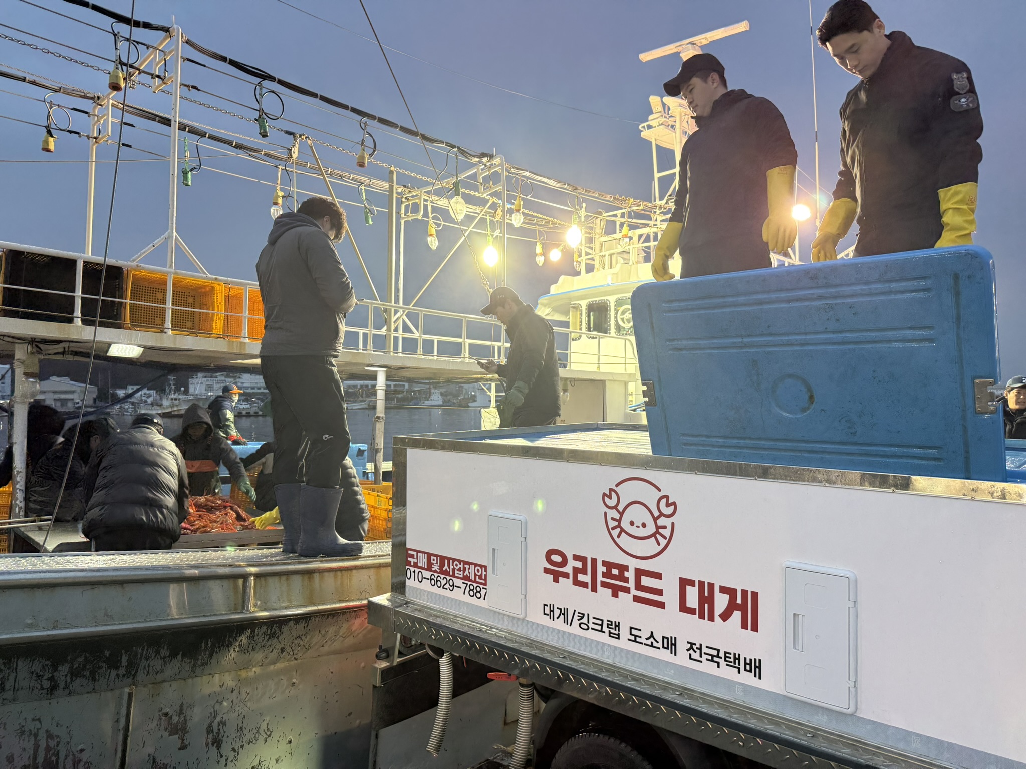선주직송 독도 박달홍게 1kg (활/자숙 선택)