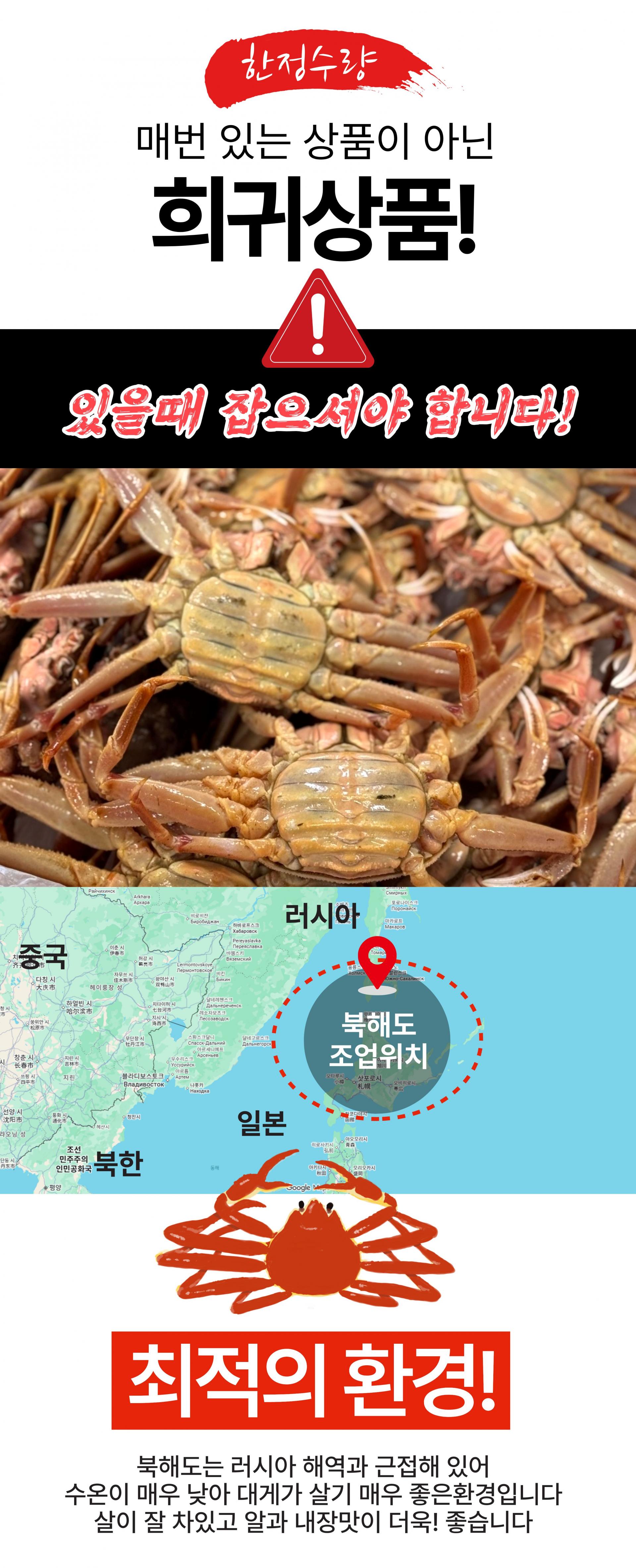 (오픈특가) 북해도 암컷대게 빵게 짜박게 알배기 1kg