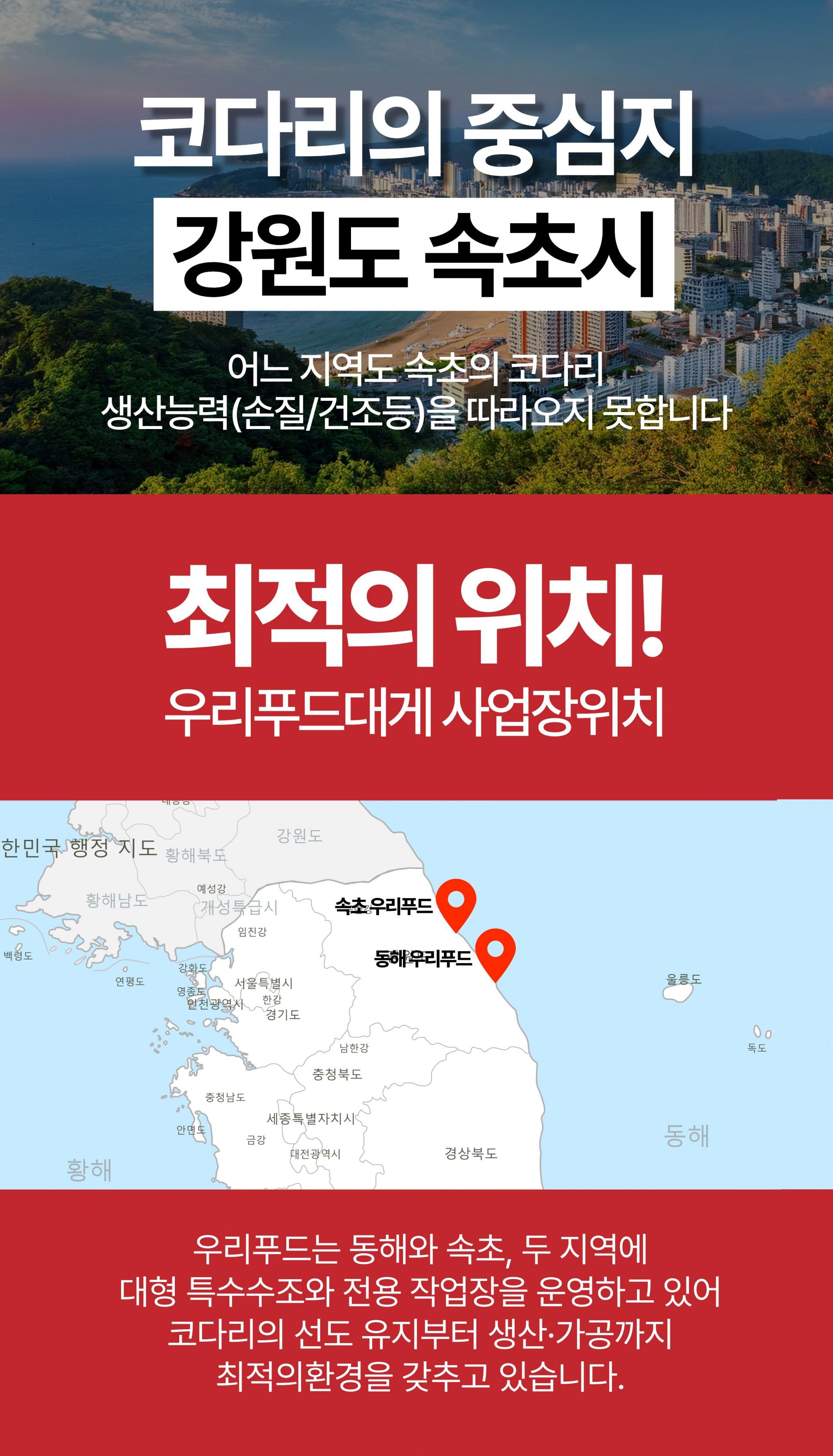두툼하고 쫄깃한 속초 반건조 손질 코다리 명태 1마리