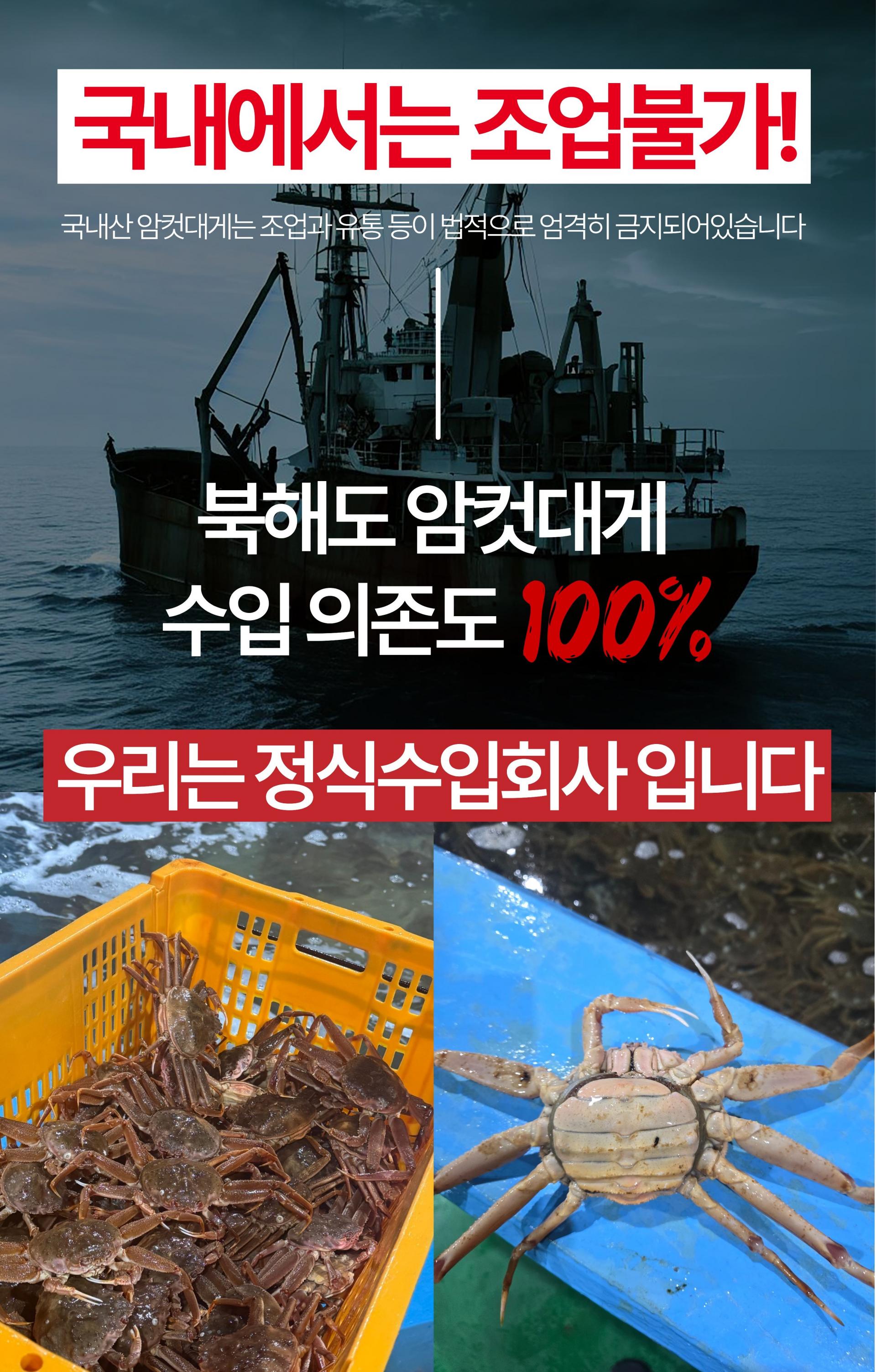 (오픈특가) 북해도 암컷대게 빵게 짜박게 알배기 1kg