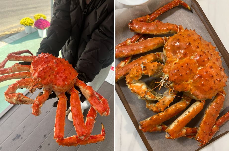 특A급 러시아 레드킹크랩 1kg (활/자숙선택)