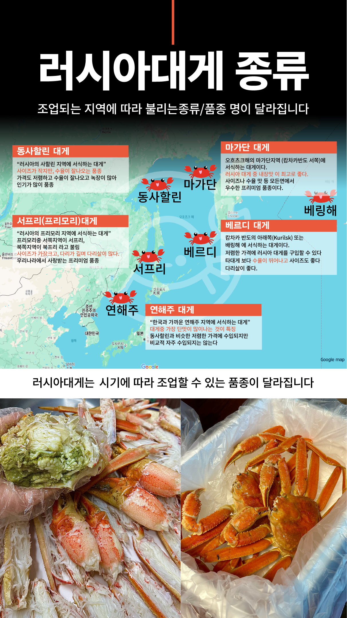 러시아대게 게딱지 몸통대게 3개 (자숙)
