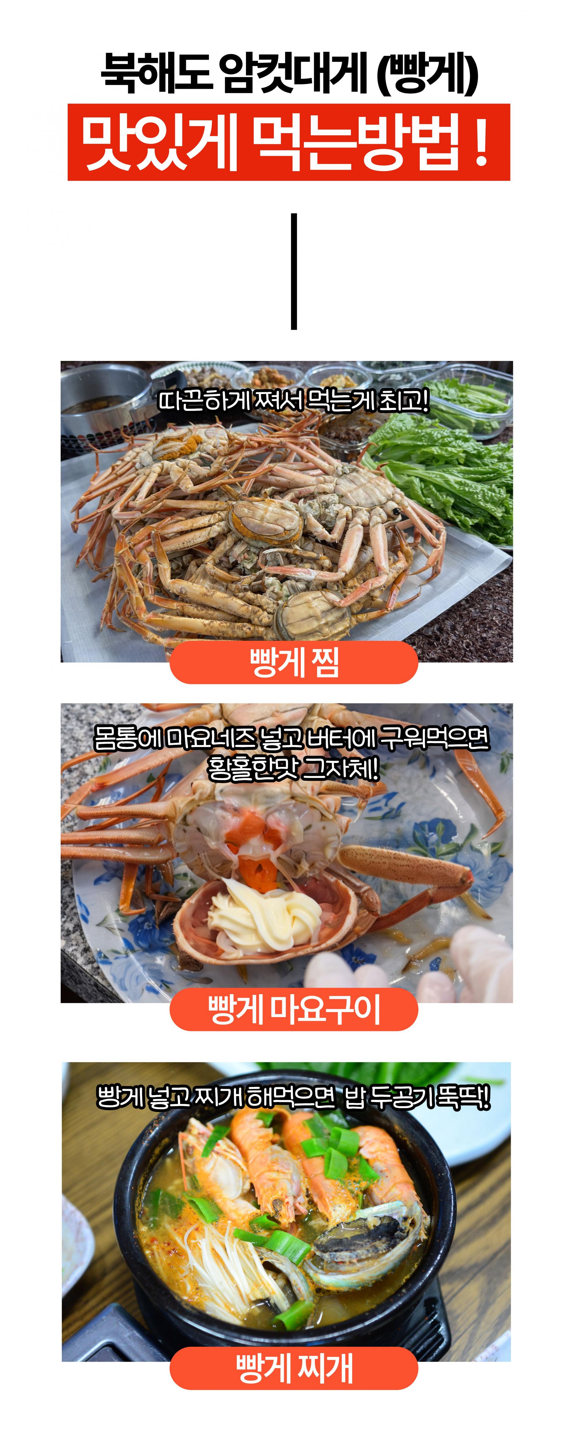(오픈특가) 북해도 암컷대게 빵게 짜박게 알배기 1kg