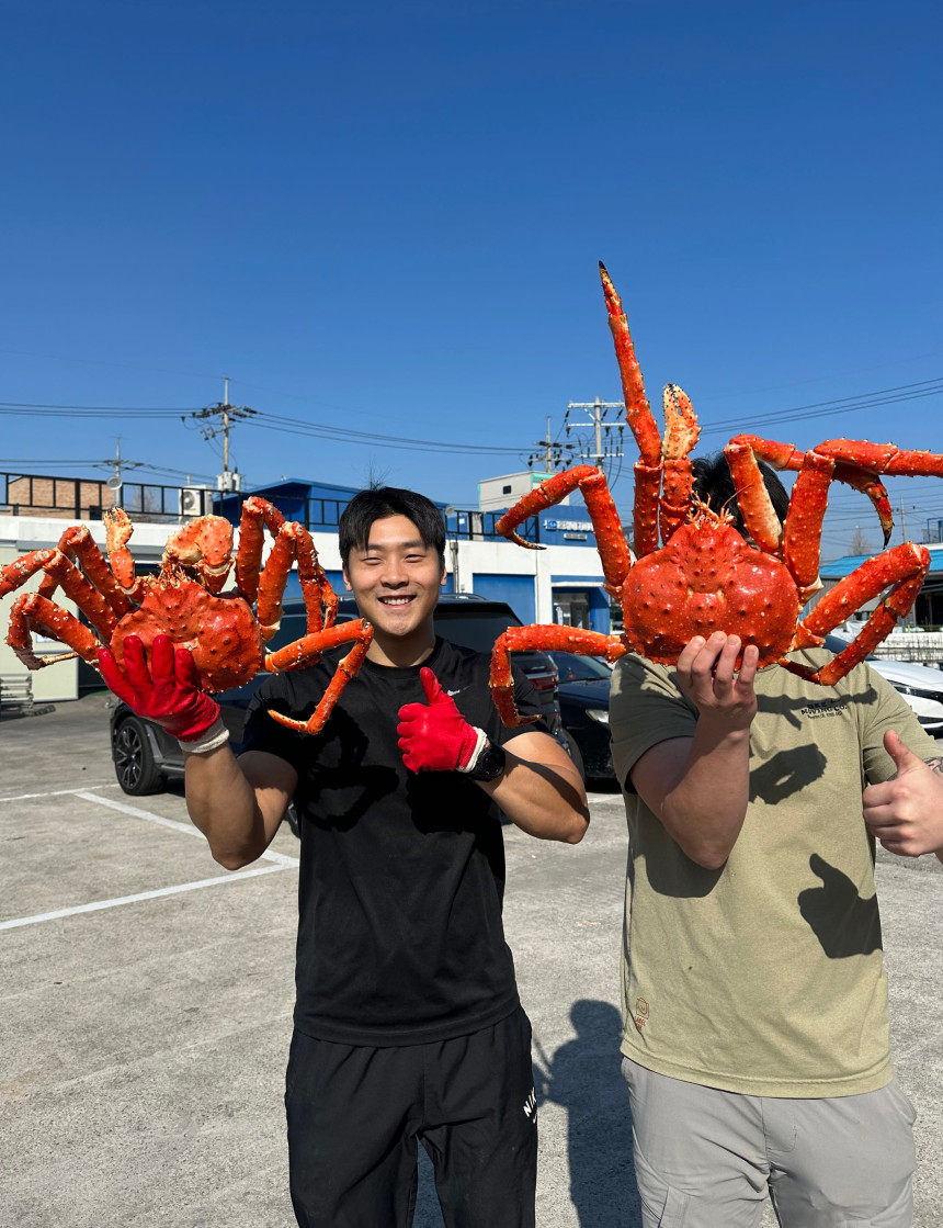 특A급 러시아 블루킹크랩 1kg (활/자숙 선택)