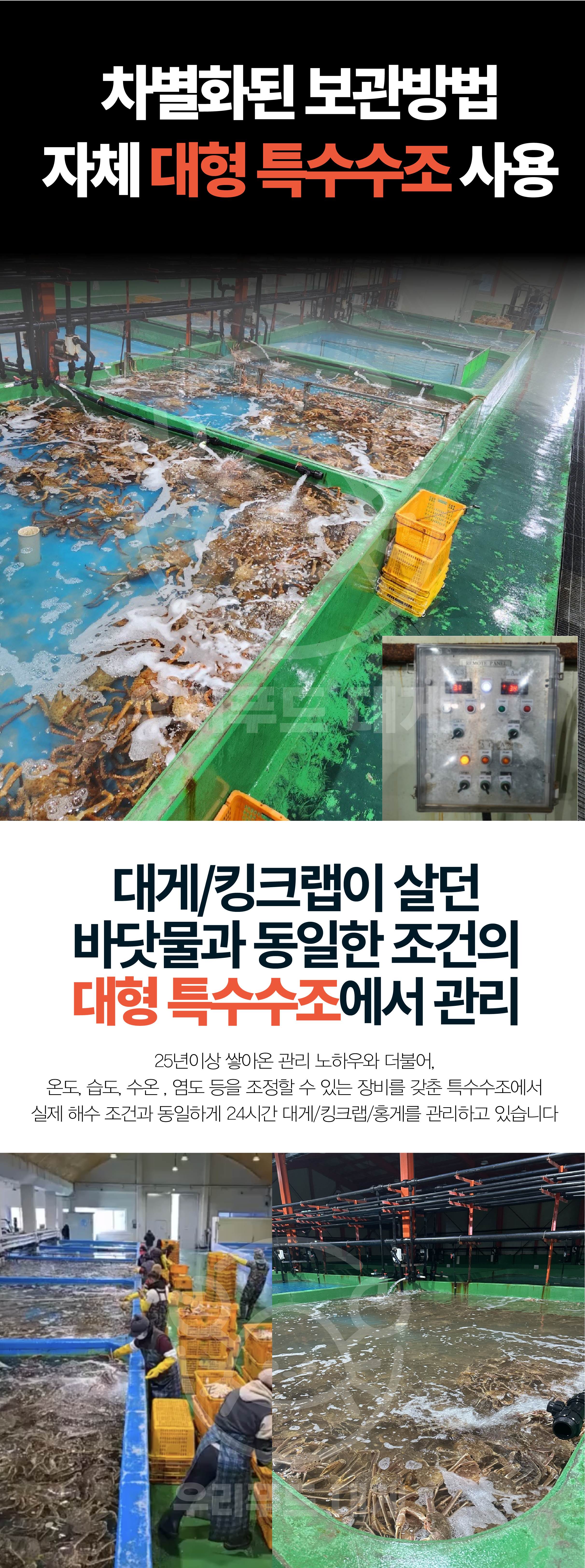 특A급 러시아 자숙대게 1kg(1마리)