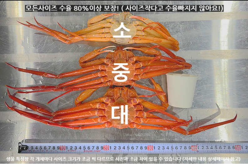 선주직송 독도 박달홍게 1kg (활/자숙 선택)