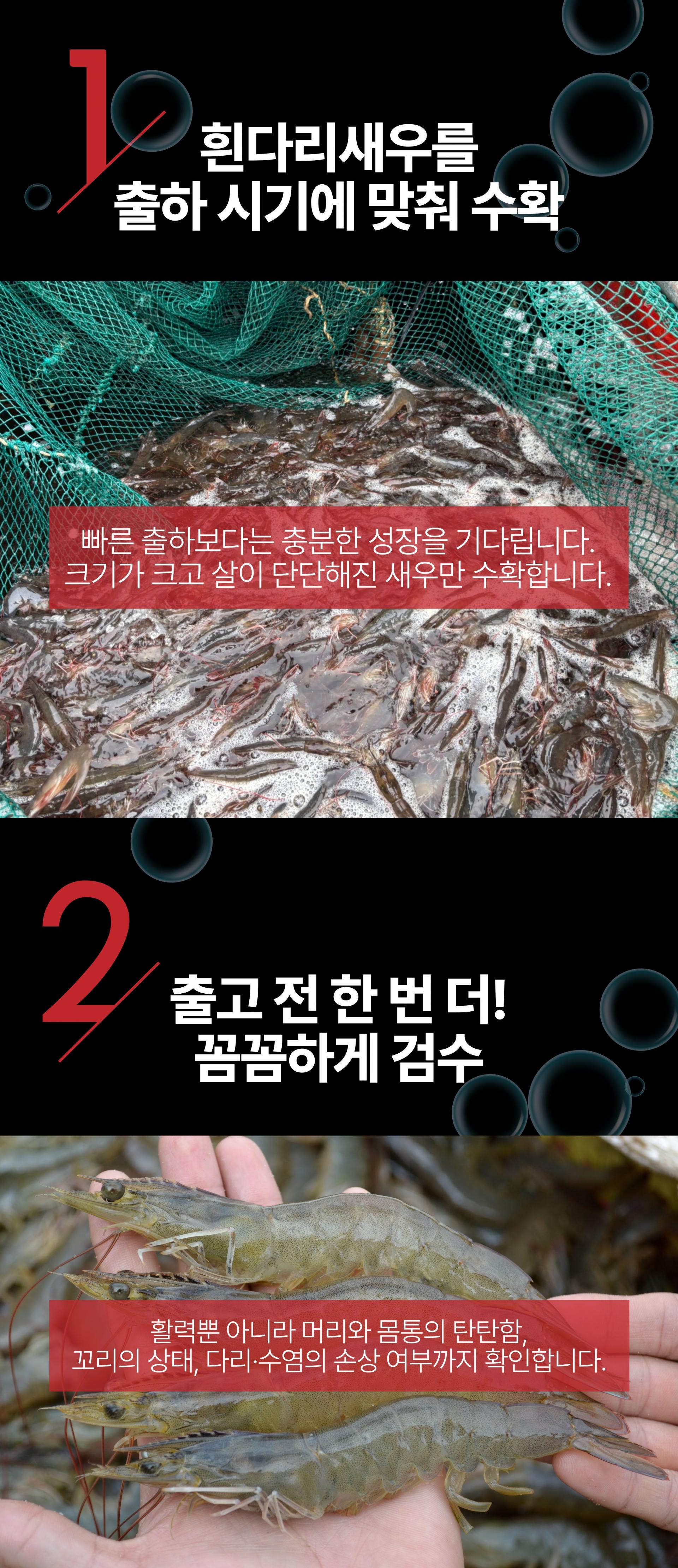국산 제철 흰다리새우 생새우 활새우 왕새우 500g 1kg