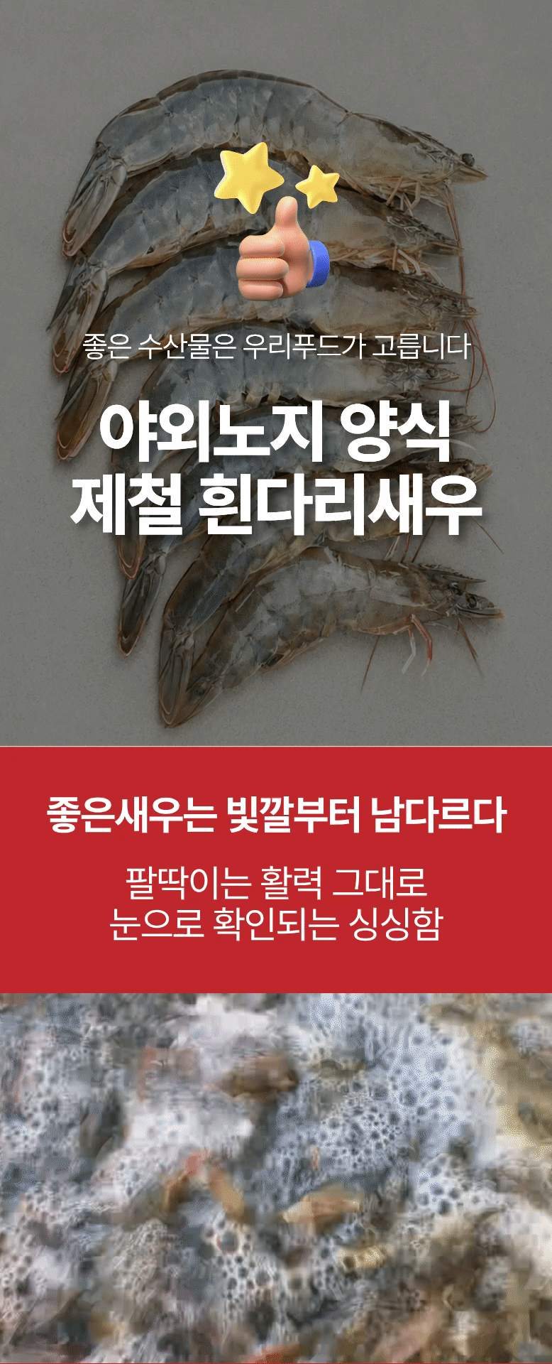 국산 제철 흰다리새우 생새우 활새우 왕새우 500g 1kg