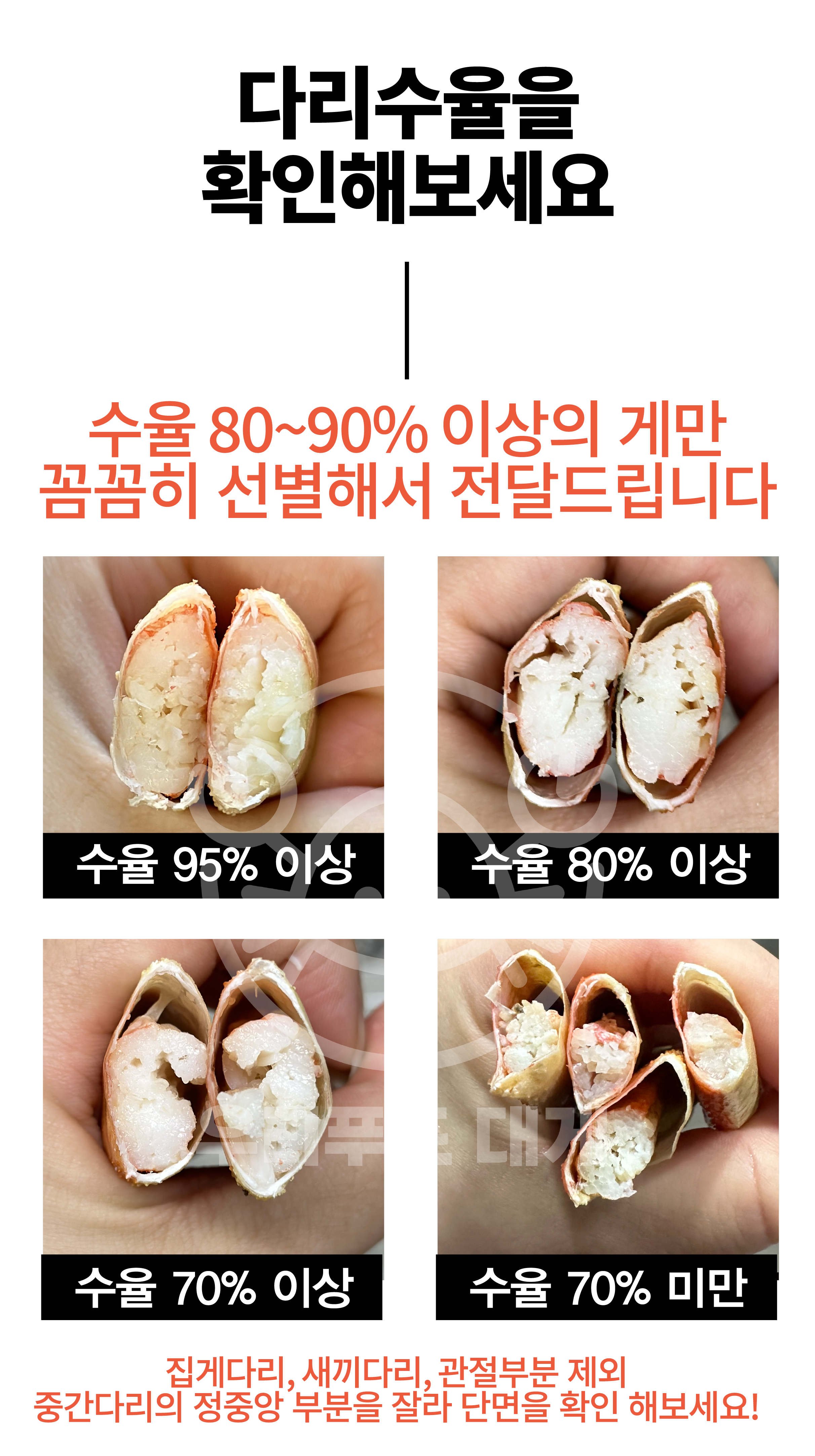 러시아 비품대게 1마리 (활/자숙선택)