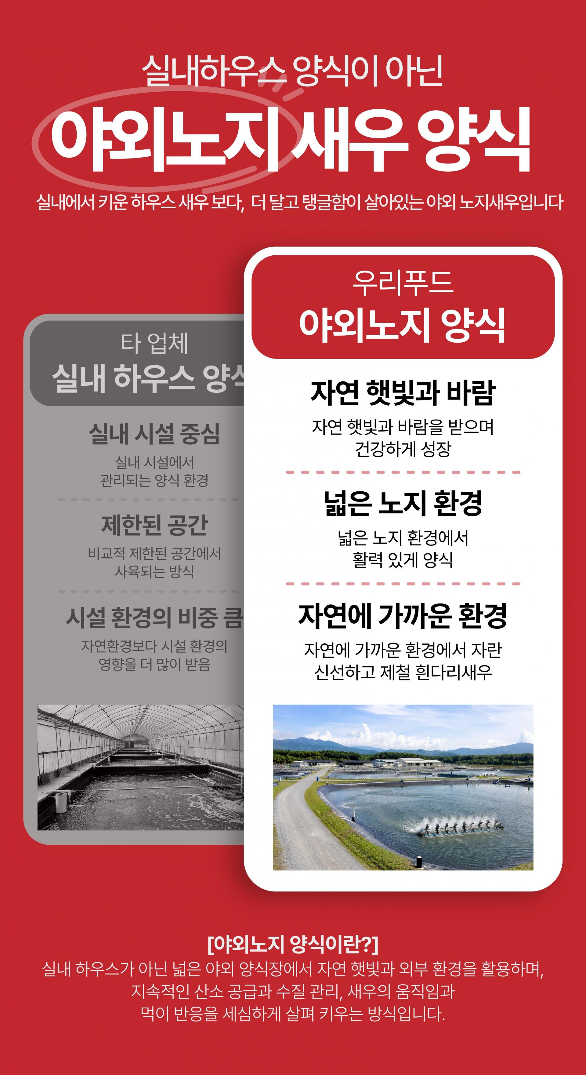 국산 제철 흰다리새우 생새우 활새우 왕새우 500g 1kg