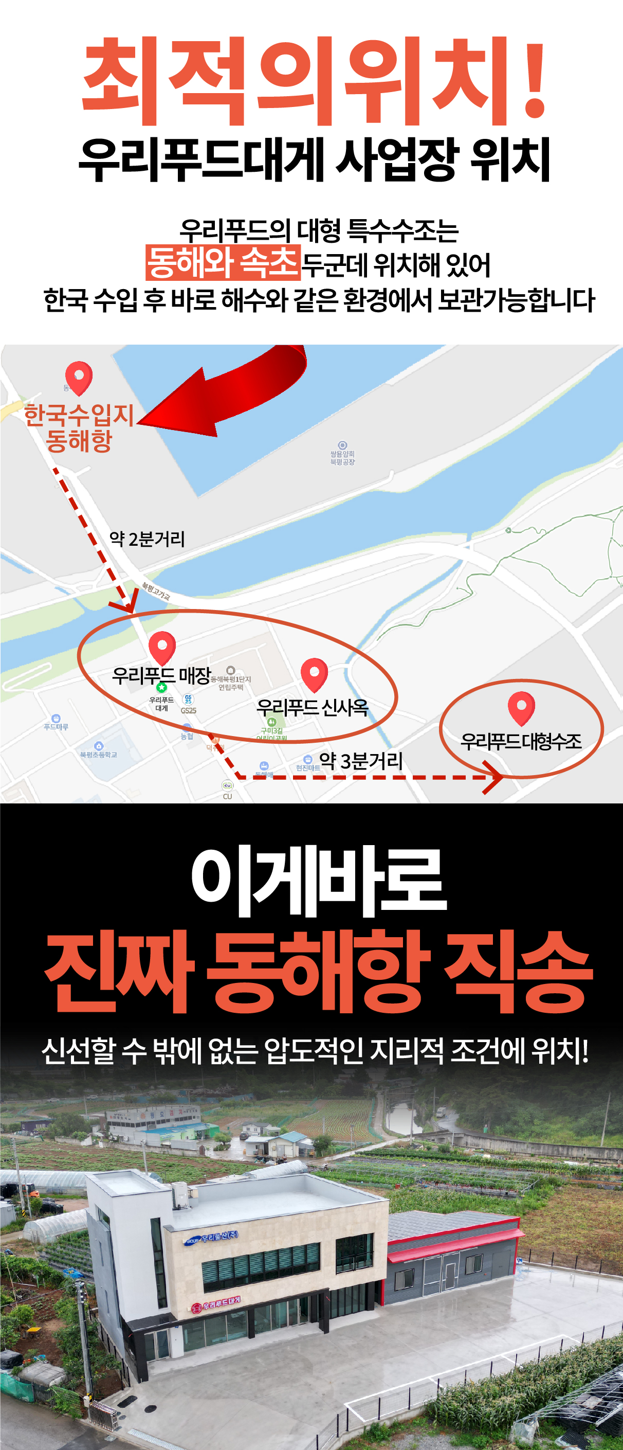 특A급 살아있는 러시아 활대게 1kg (활/자숙선택)