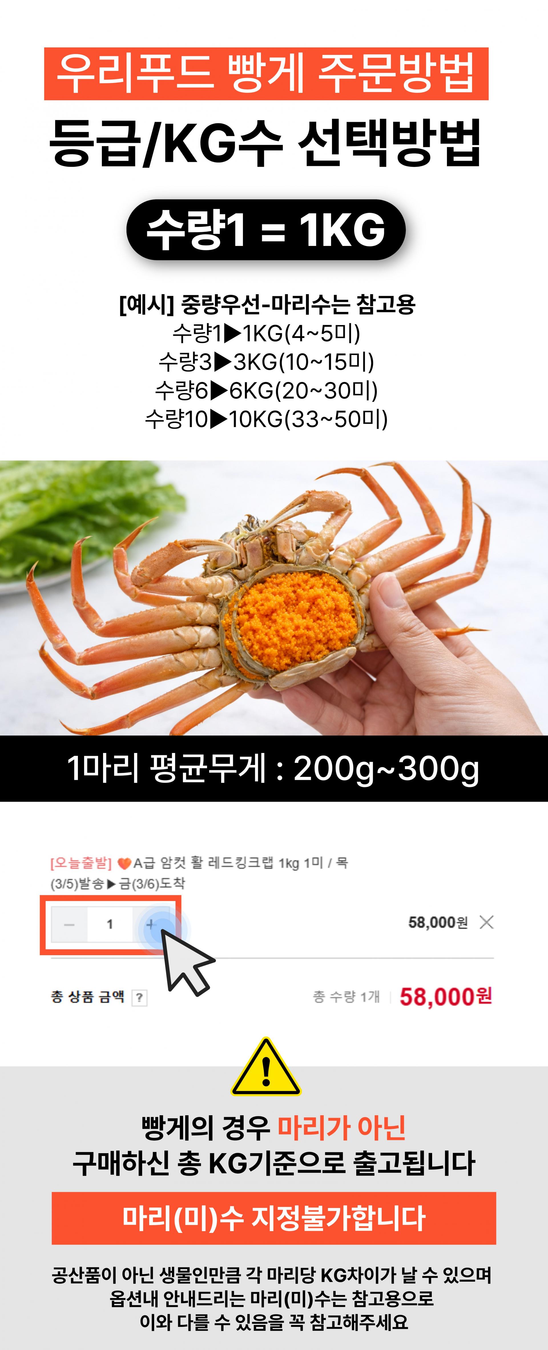 (오픈특가) 북해도 암컷대게 빵게 짜박게 알배기 1kg