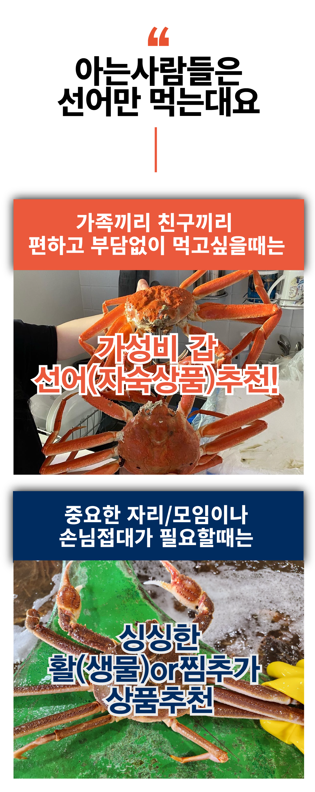 특A급 북해도 프리미엄 활 레드킹크랩 1마리 (암컷/수컷)