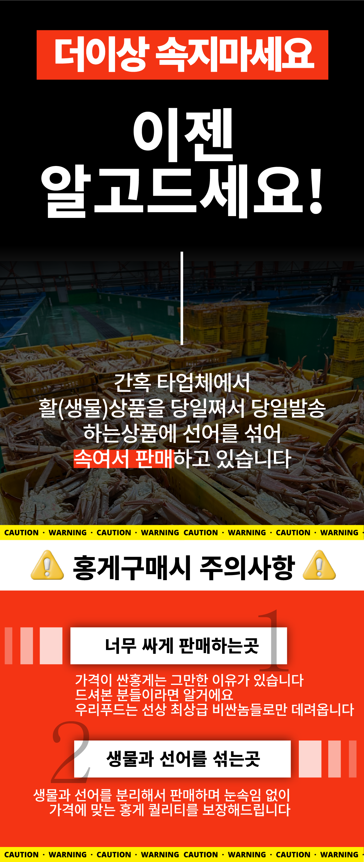 선주직송 독도 박달홍게 1kg (활/자숙 선택)