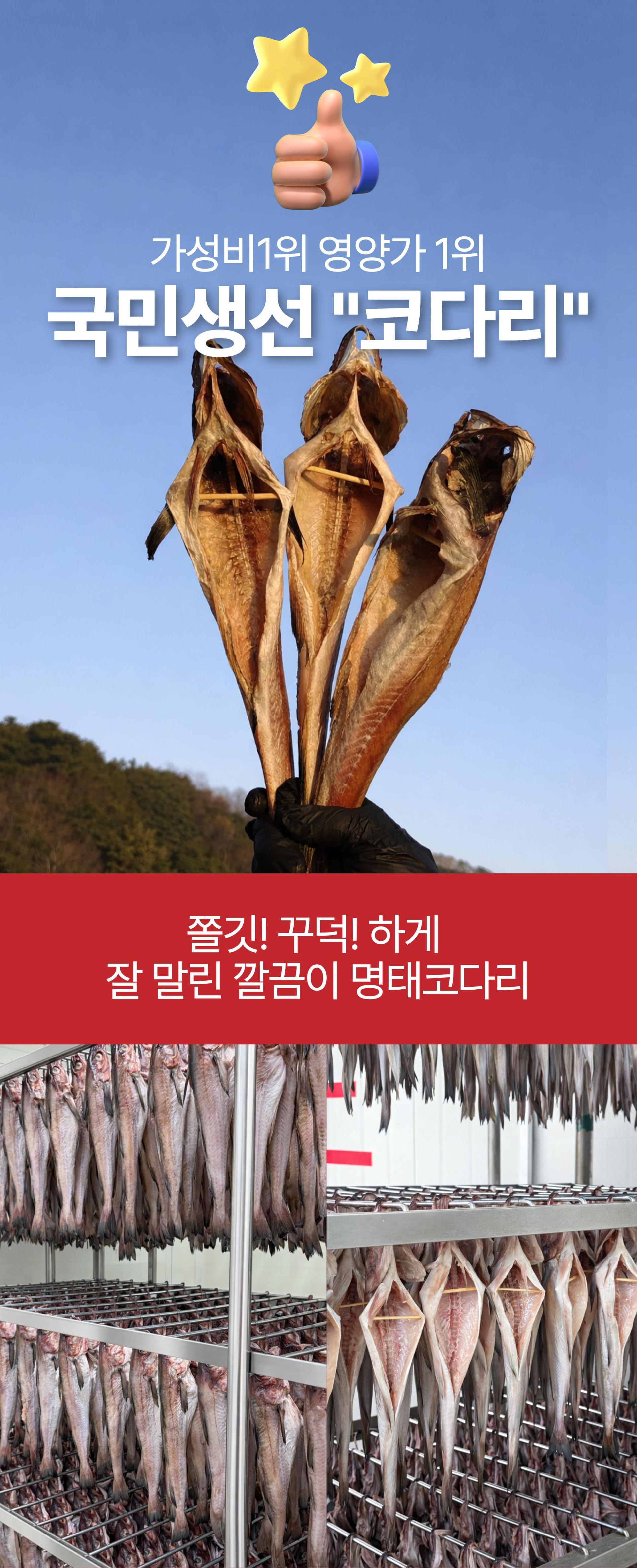 두툼하고 쫄깃한 속초 반건조 손질 코다리 명태 1마리