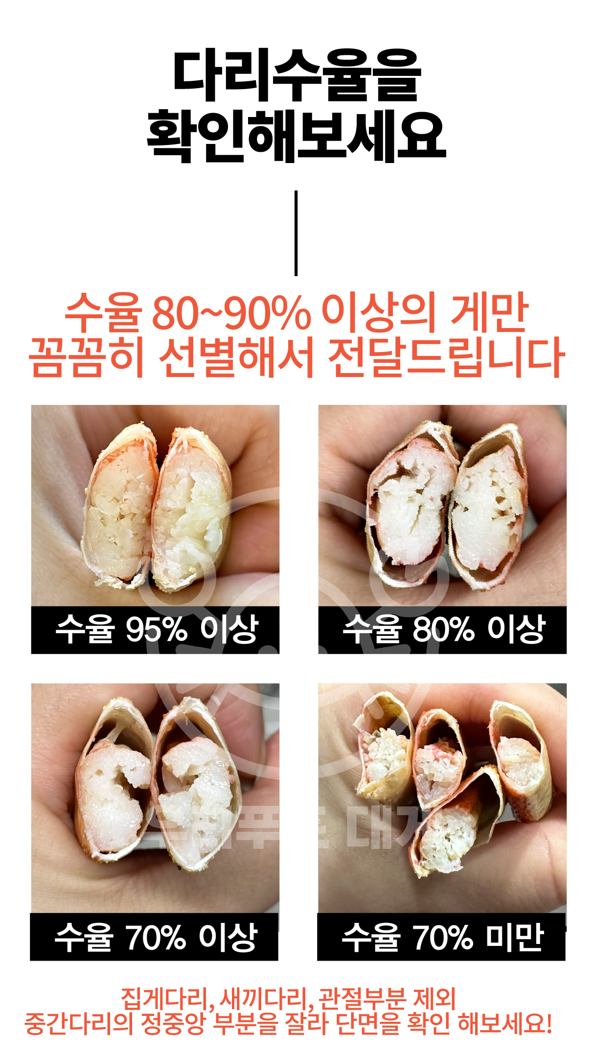선주직송 독도 박달홍게 1kg (활/자숙 선택)