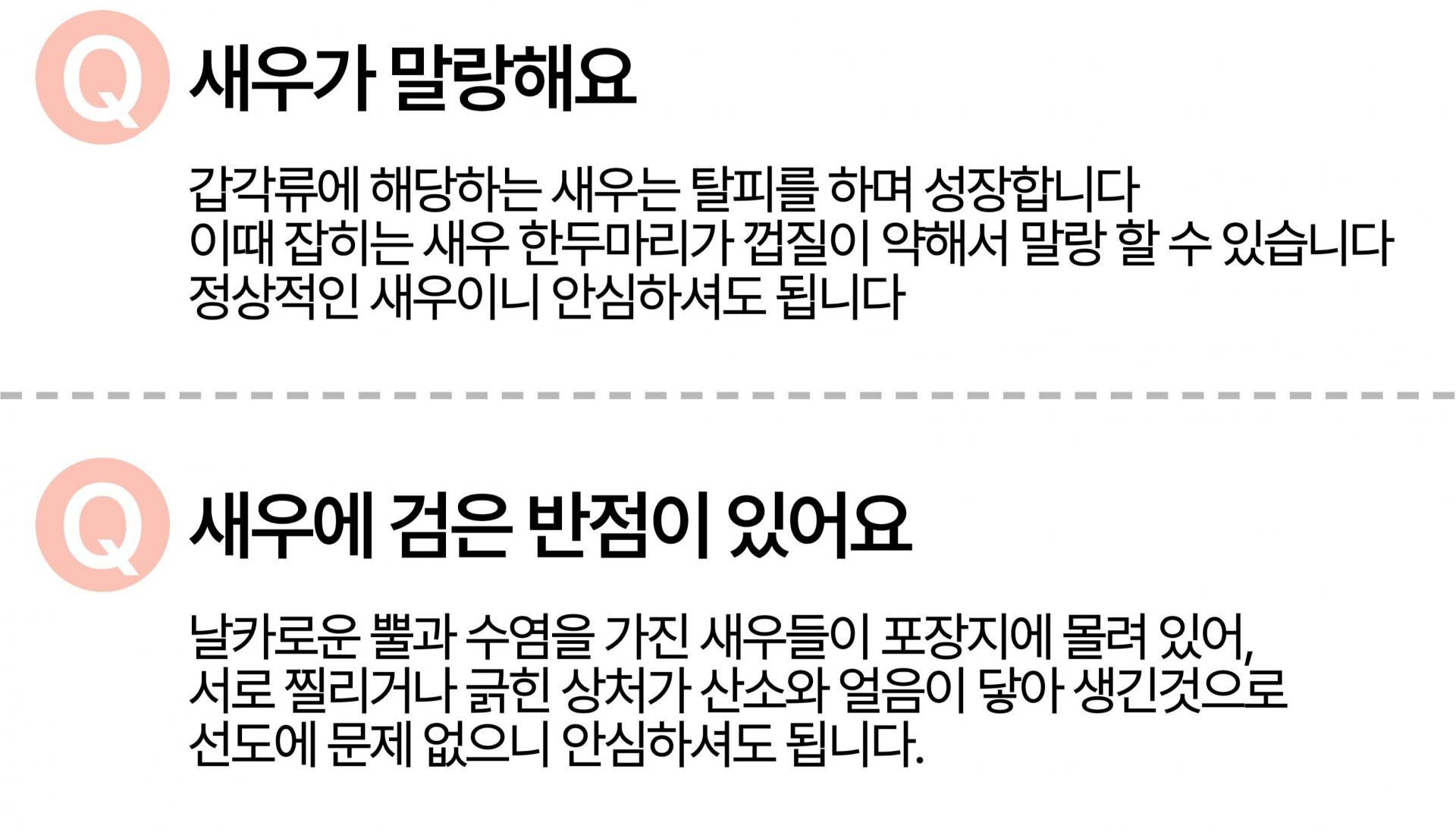 국산 제철 흰다리새우 생새우 활새우 왕새우 500g 1kg