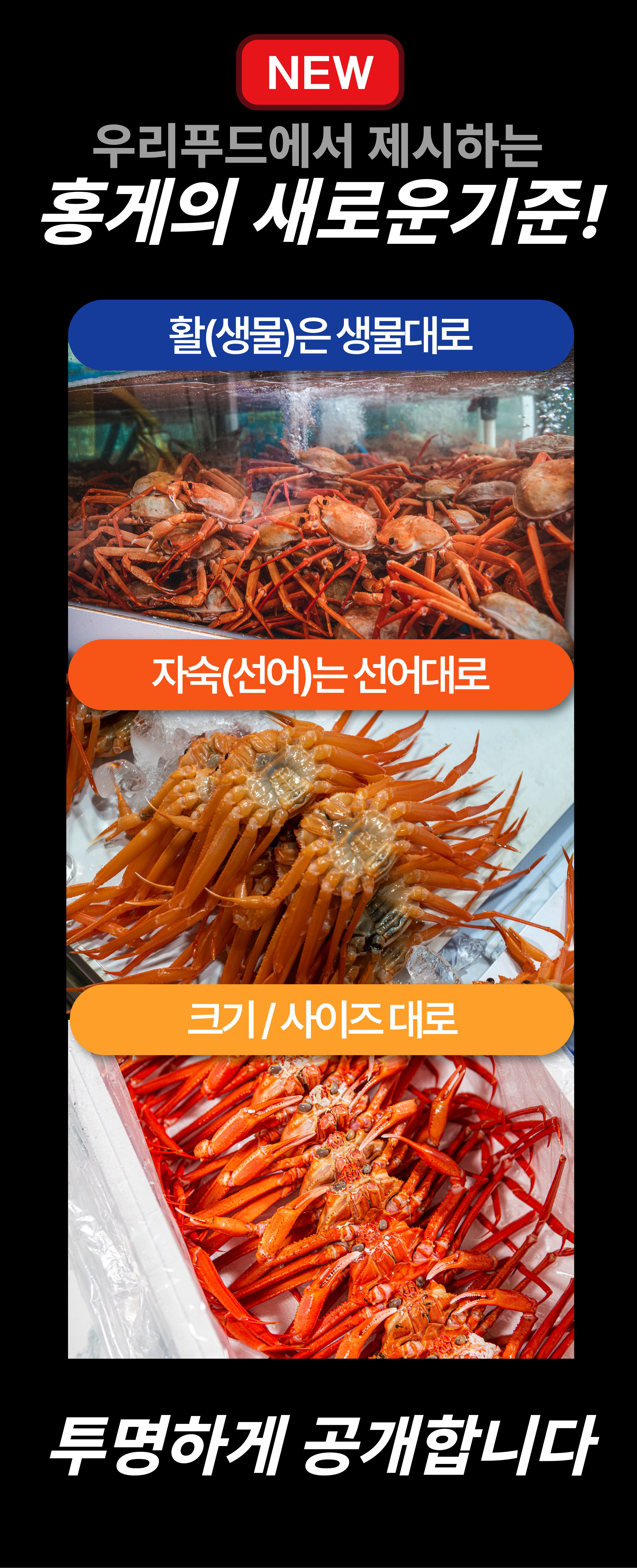 선주직송 독도 박달홍게 1kg (활/자숙 선택)