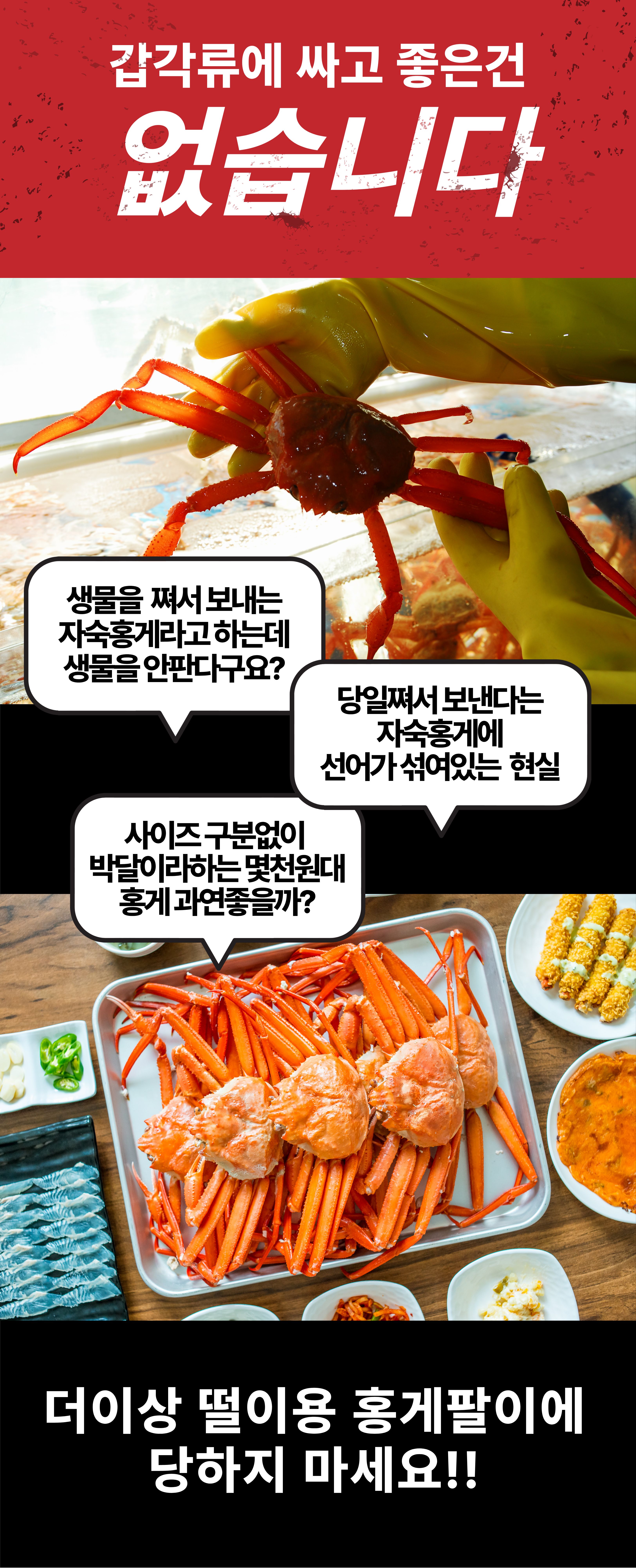 선주직송 독도 박달홍게 1kg (활/자숙 선택)
