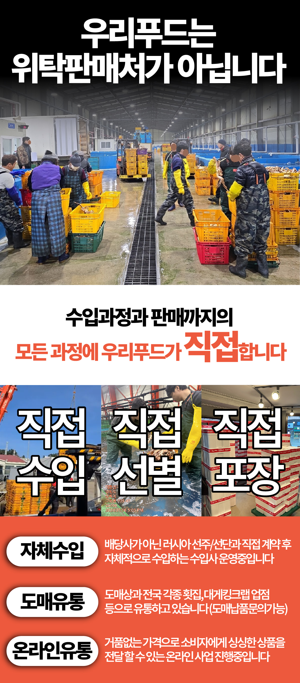 특A급 러시아 블루킹크랩 1kg (활/자숙 선택)