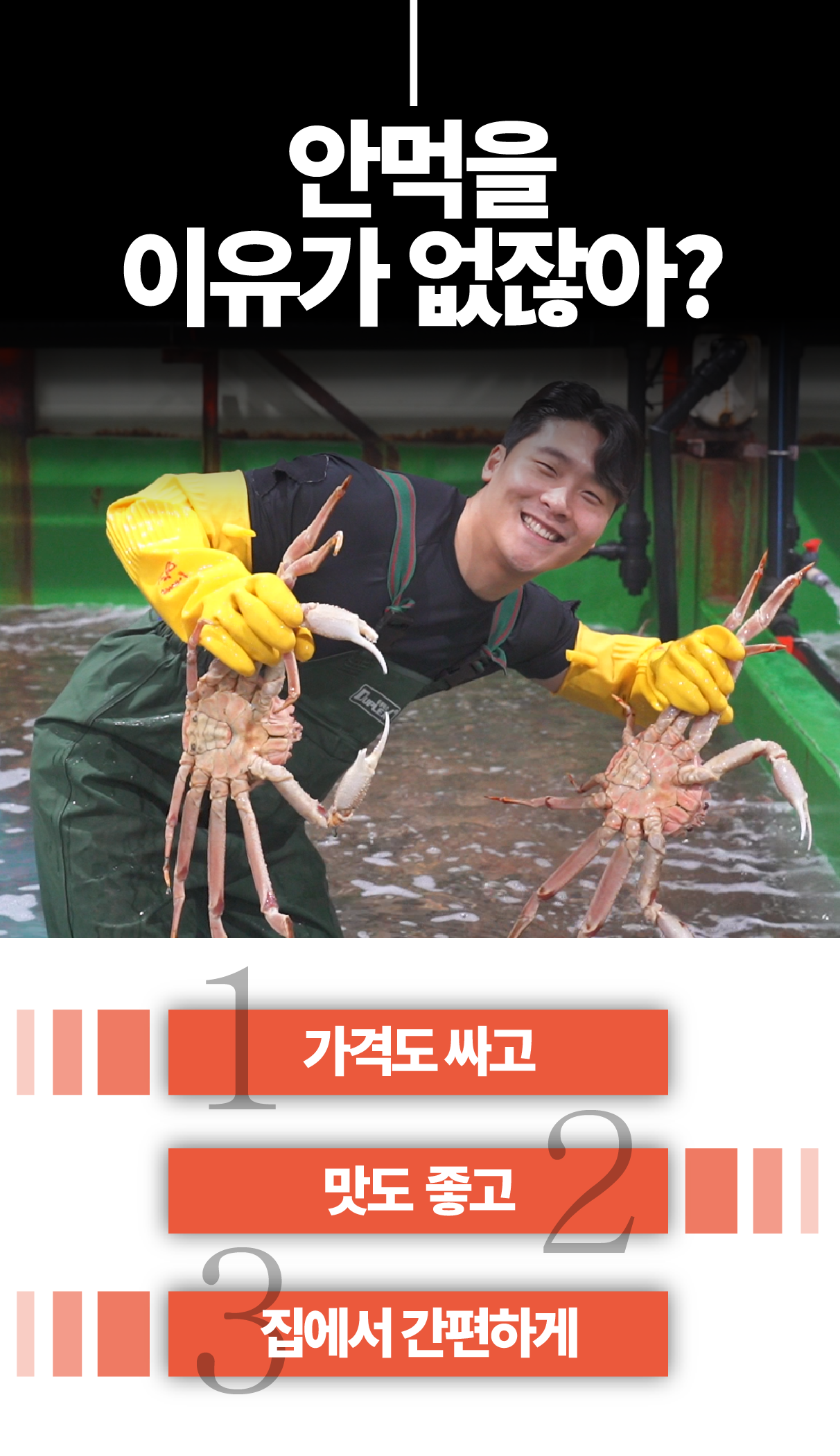 특A급 러시아 블루킹크랩 1kg (활/자숙 선택)