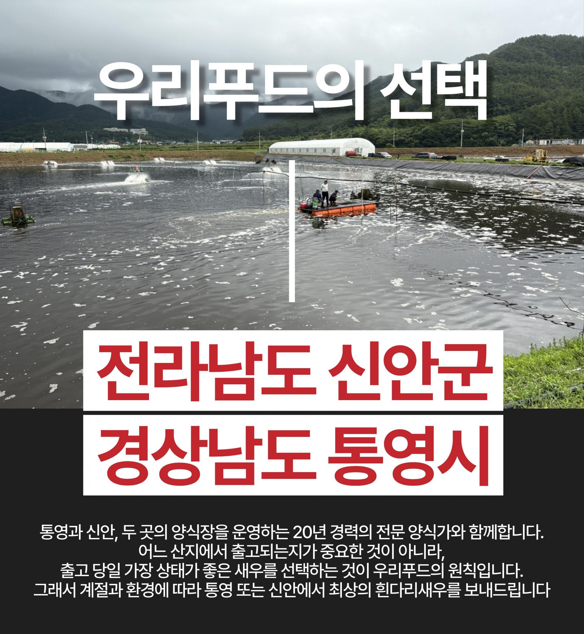국산 제철 흰다리새우 생새우 활새우 왕새우 500g 1kg