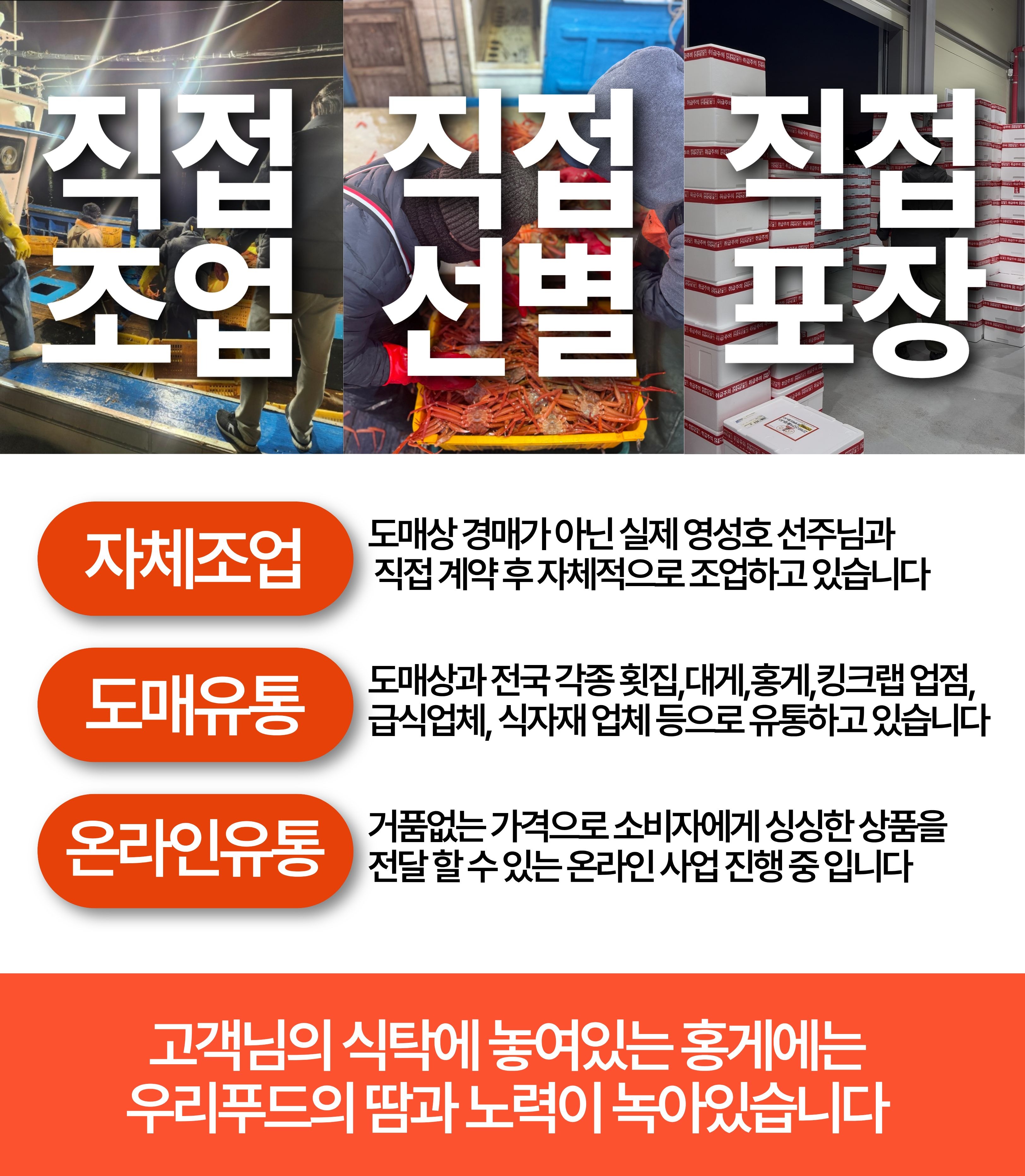 선주직송 독도 박달홍게 1kg (활/자숙 선택)