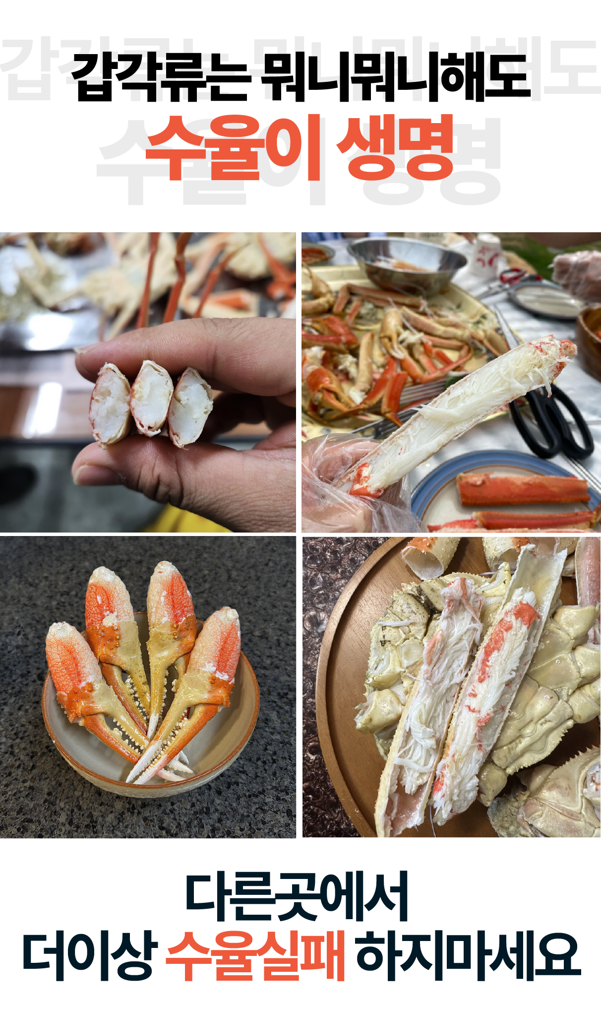 특A급 러시아 자숙대게 1kg(1마리)