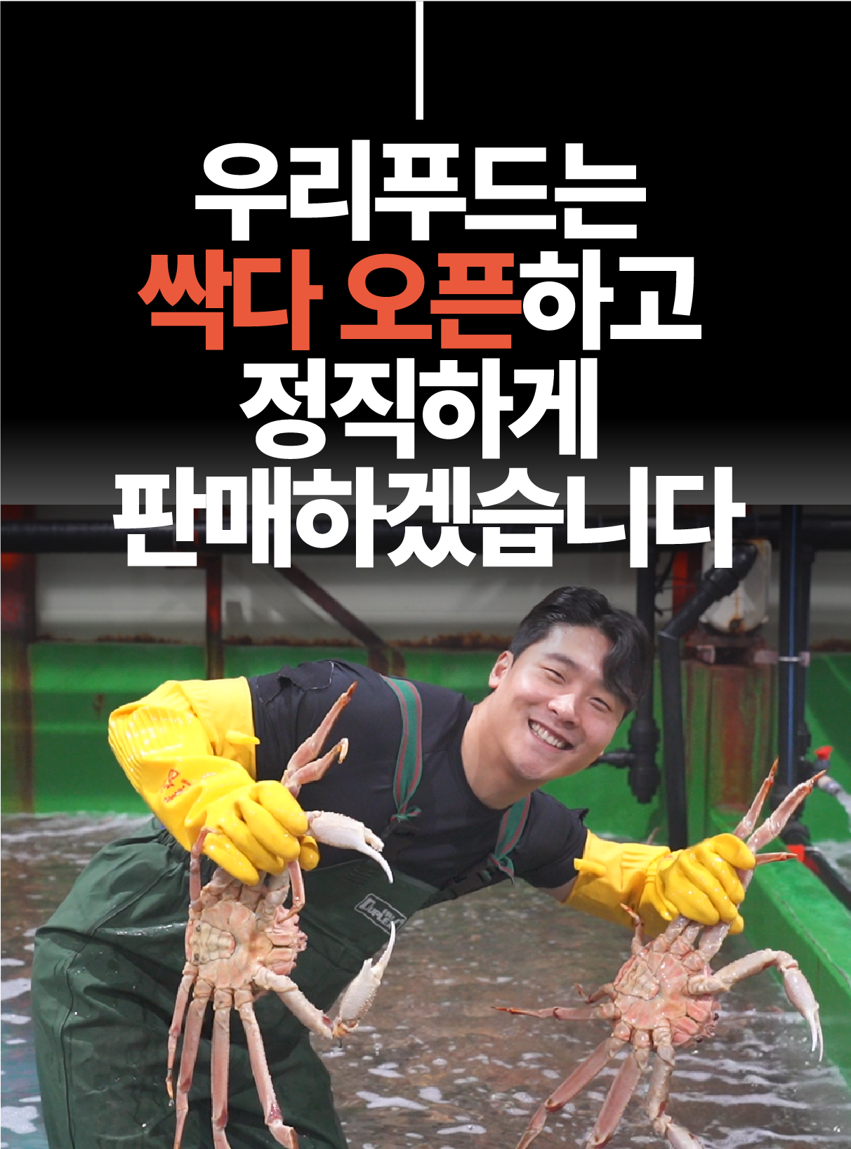 선주직송 독도 박달홍게 1kg (활/자숙 선택)