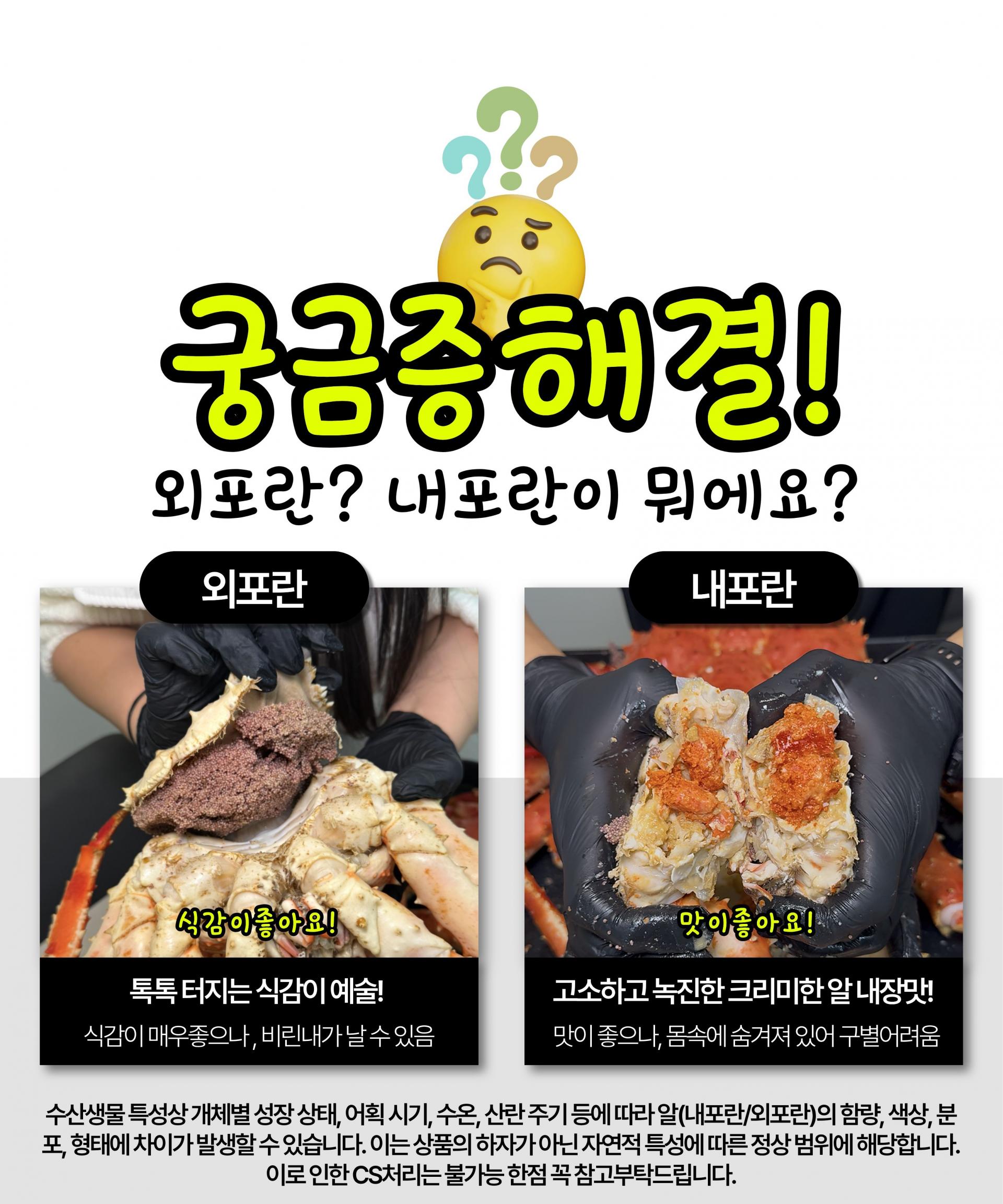 특A급 북해도 프리미엄 활 레드킹크랩 1마리 (암컷/수컷)