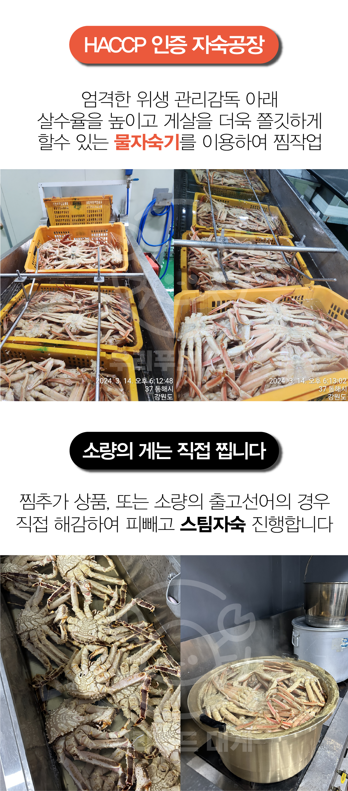 특A급 러시아 자숙대게 1kg(1마리)