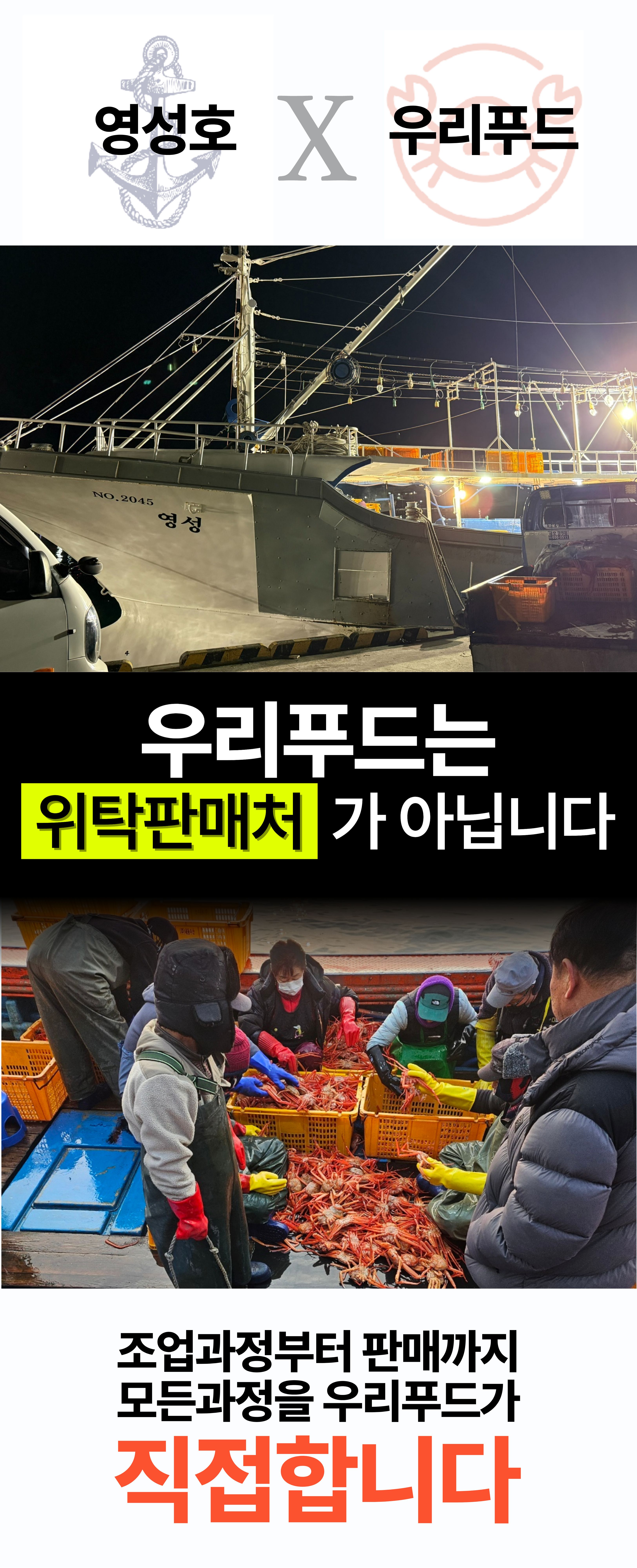 선주직송 독도 박달홍게 1kg (활/자숙 선택)