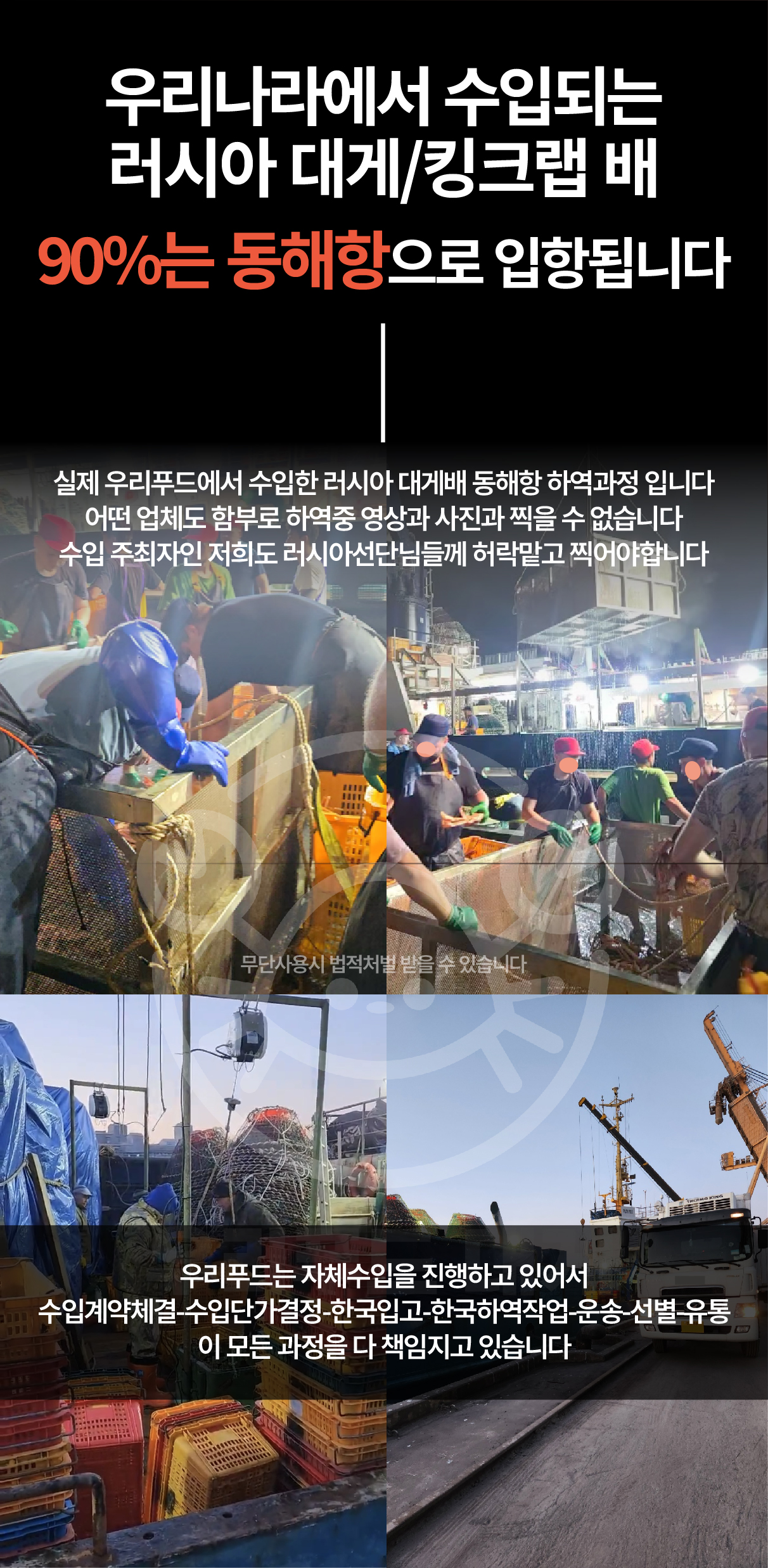 러시아 비품대게 1마리 (활/자숙선택)