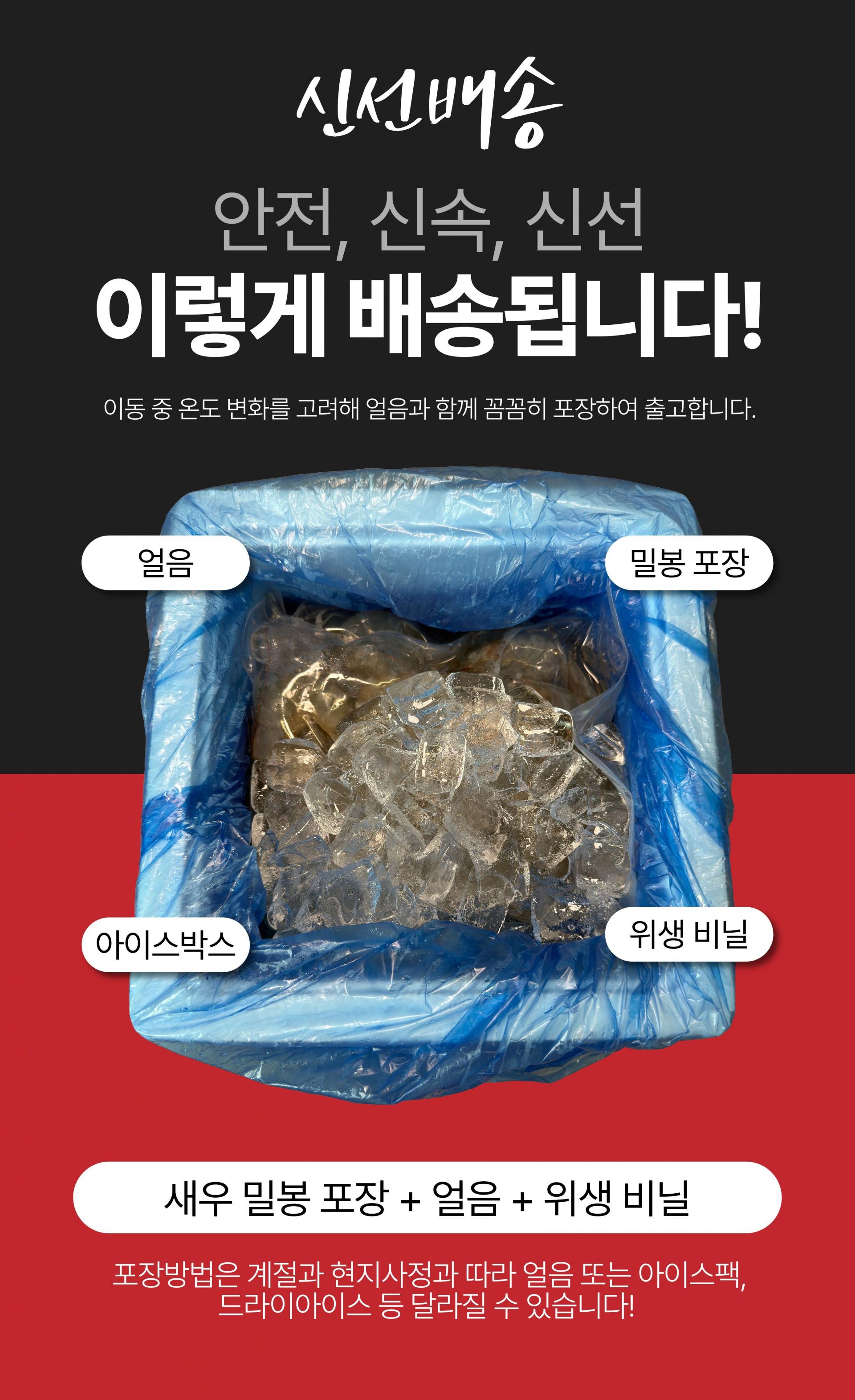 국산 제철 흰다리새우 생새우 활새우 왕새우 500g 1kg