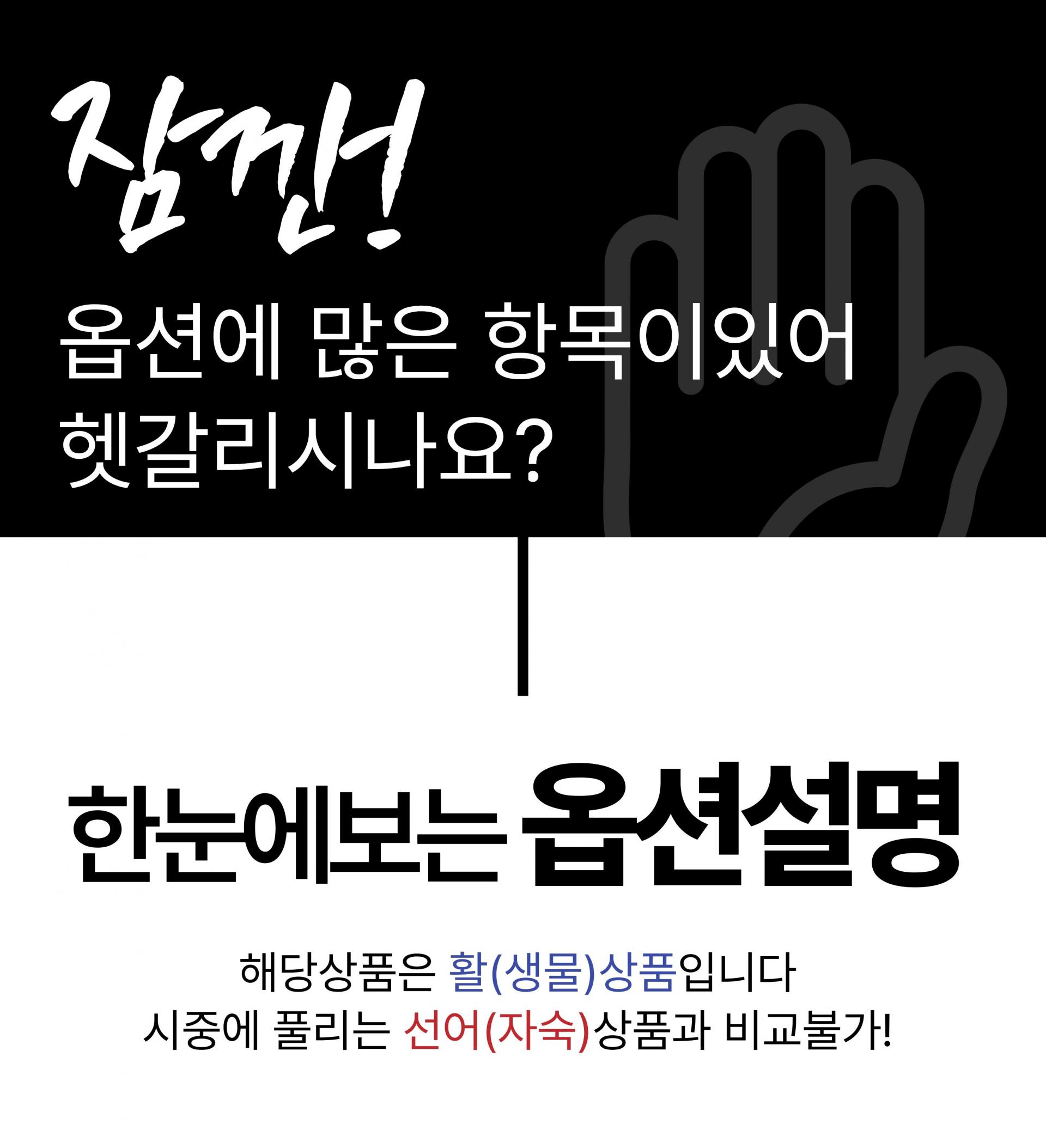 특A급 북해도 프리미엄 활 레드킹크랩 1마리 (암컷/수컷)