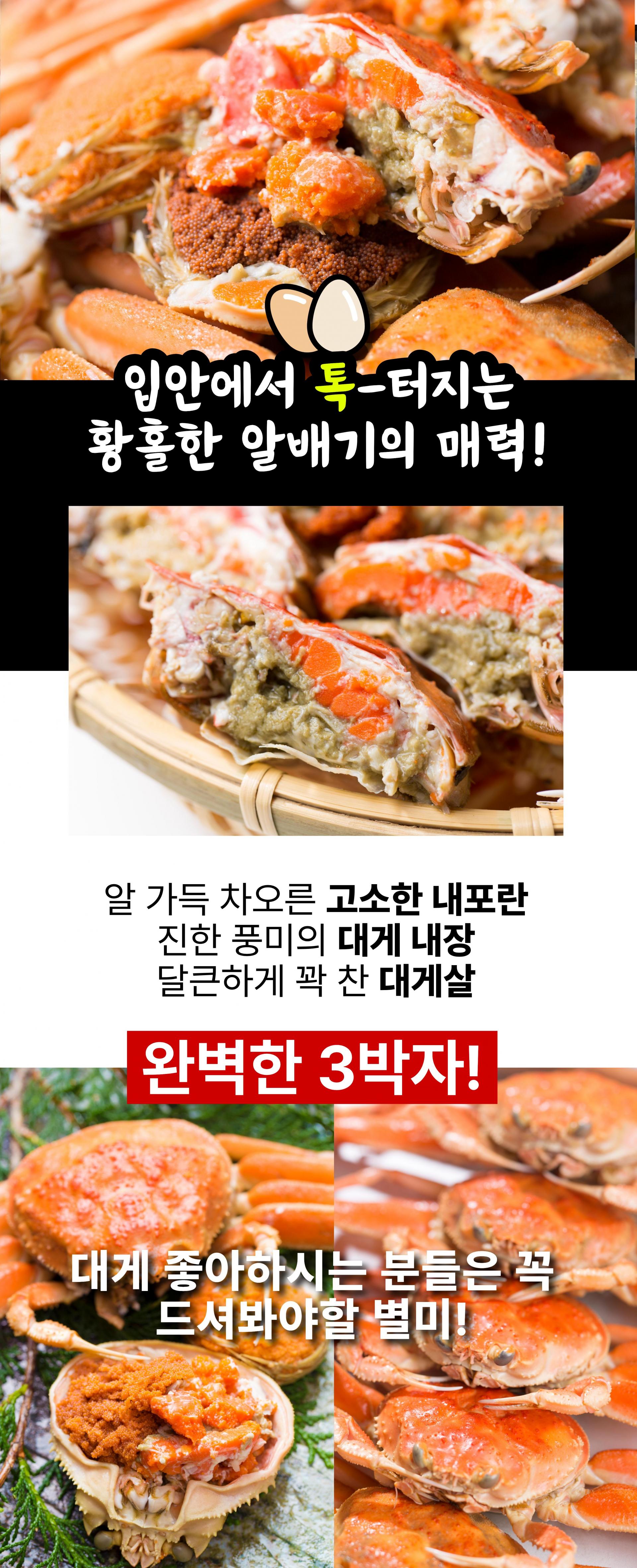 (오픈특가) 북해도 암컷대게 빵게 짜박게 알배기 1kg