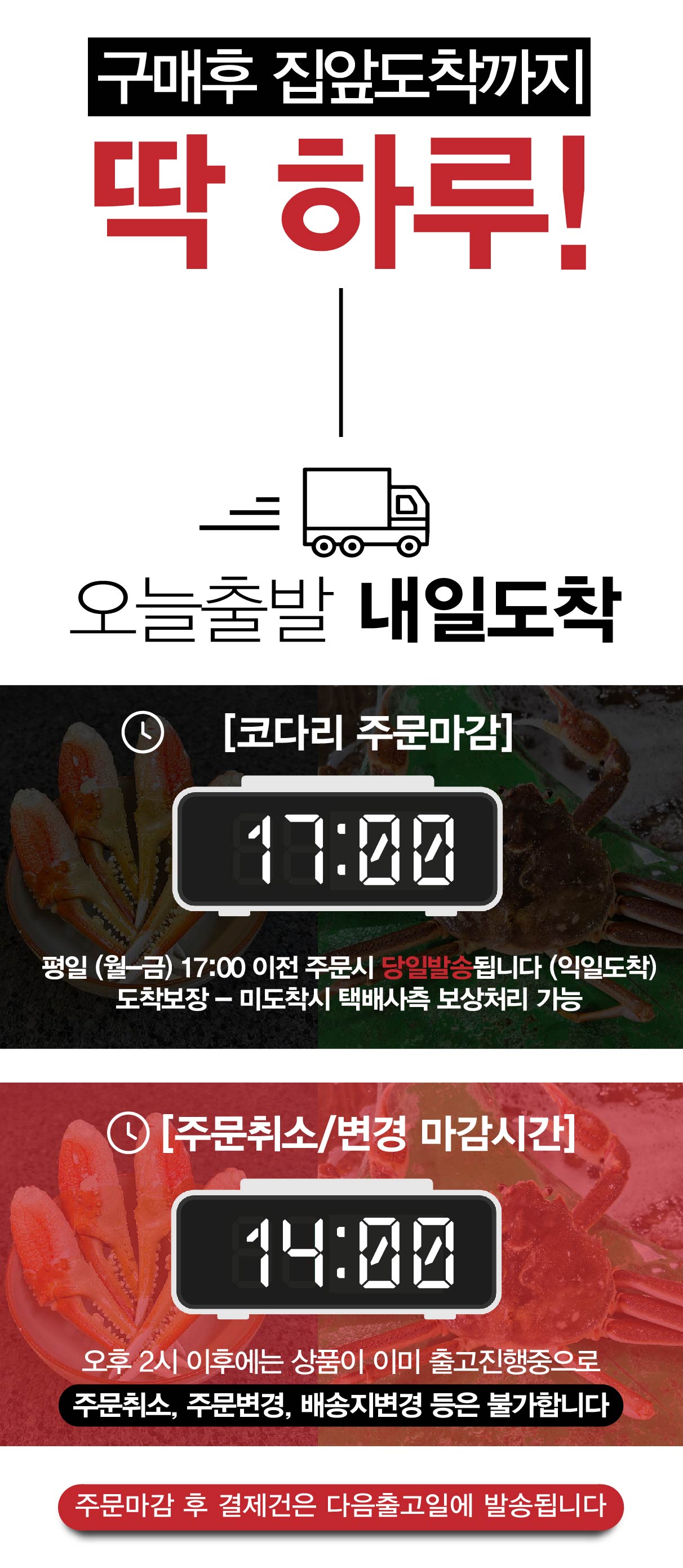두툼하고 쫄깃한 속초 반건조 손질 코다리 명태 1마리
