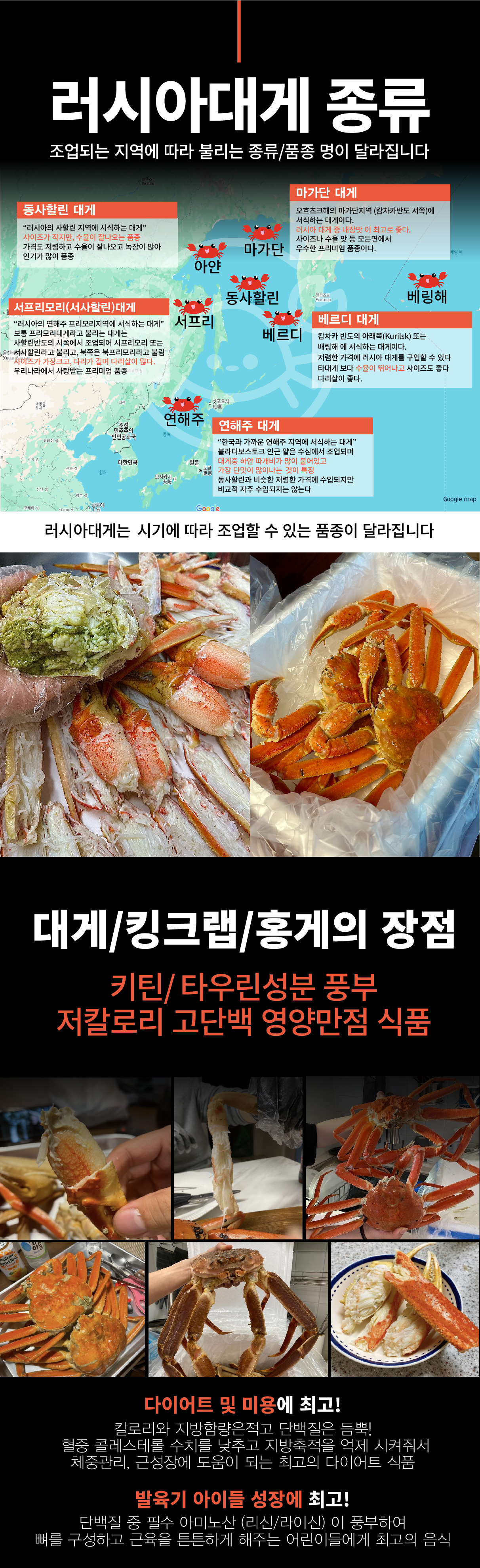 특A급 러시아 블루킹크랩 1kg (활/자숙 선택)