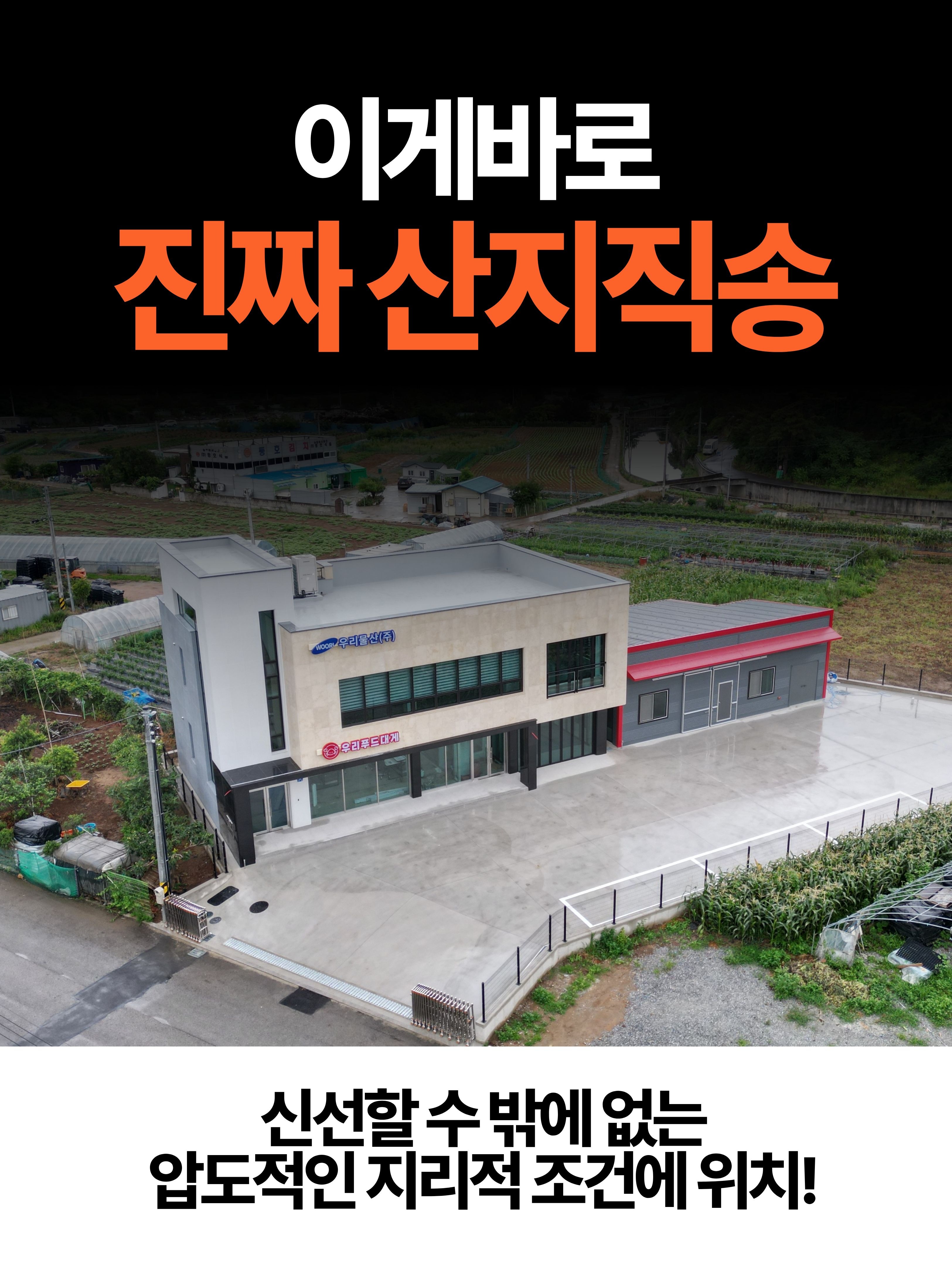 선주직송 독도 박달홍게 1kg (활/자숙 선택)