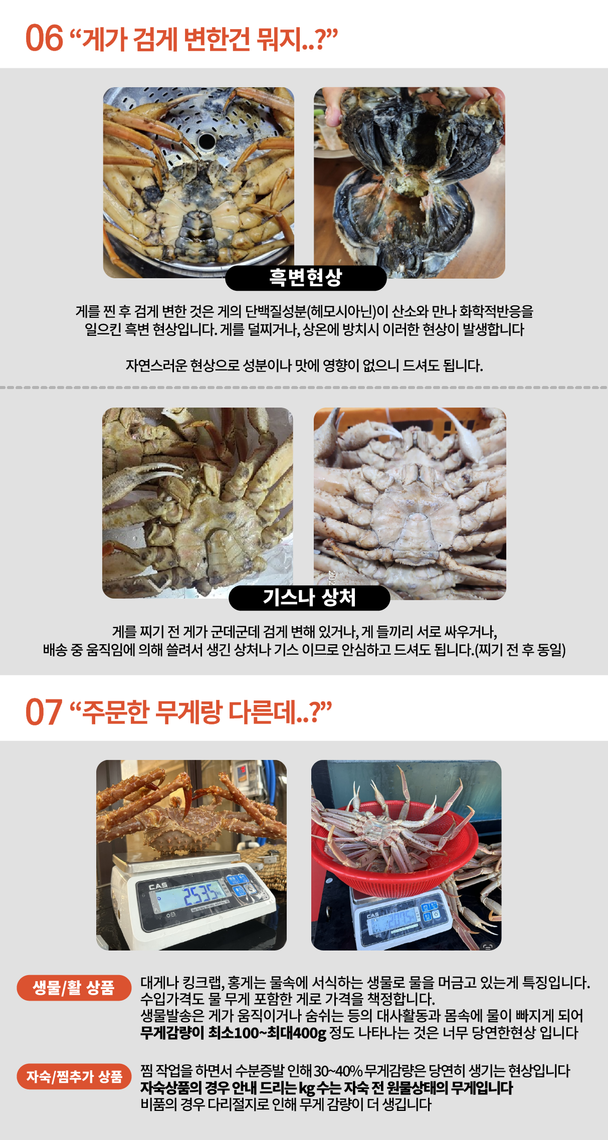 러시아 비품대게 1마리 (활/자숙선택)