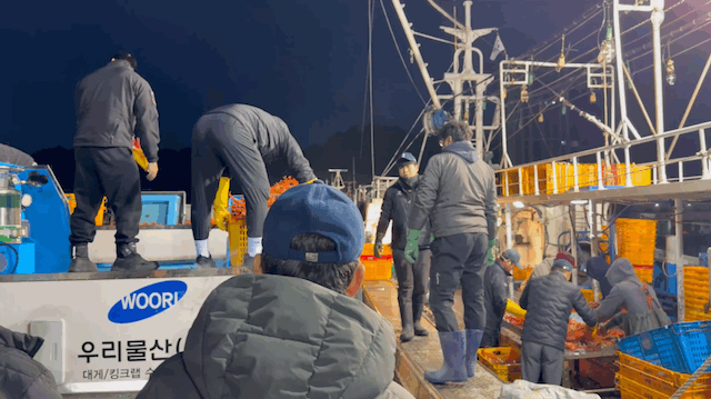 선주직송 독도 박달홍게 1kg (활/자숙 선택)