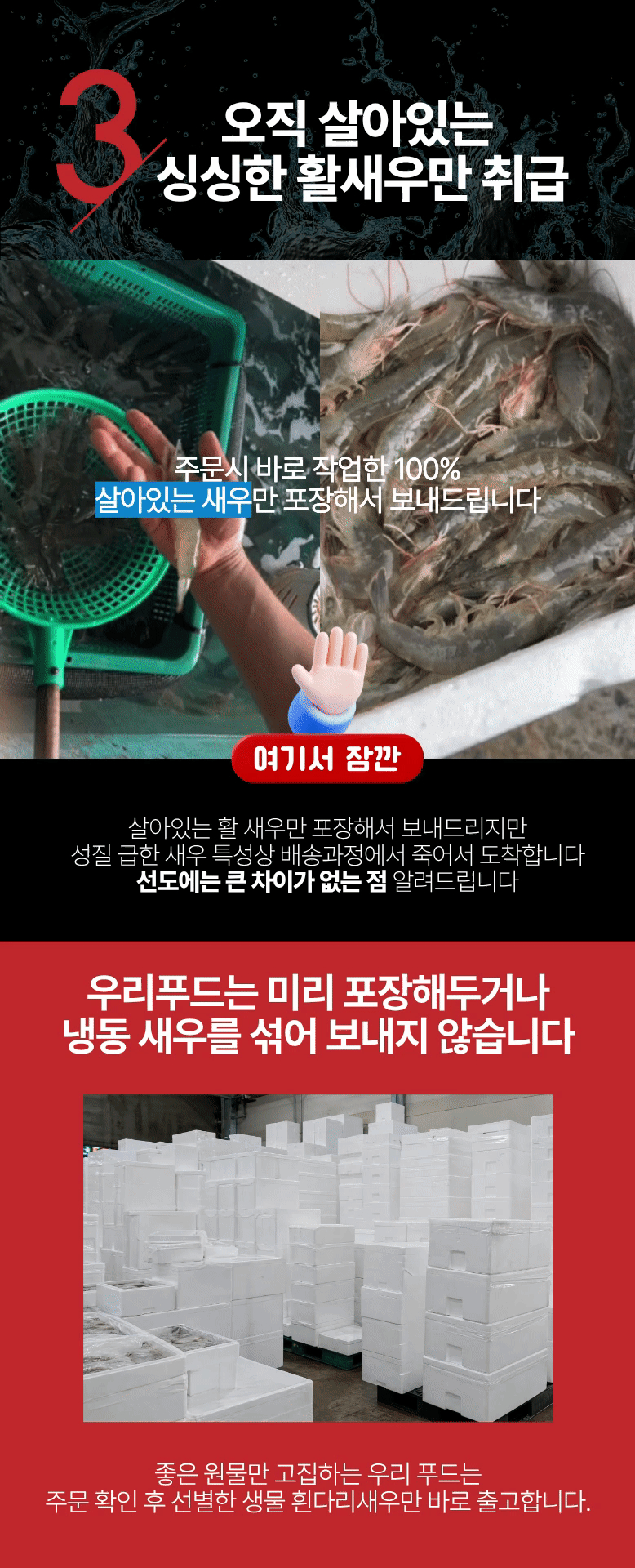국산 제철 흰다리새우 생새우 활새우 왕새우 500g 1kg
