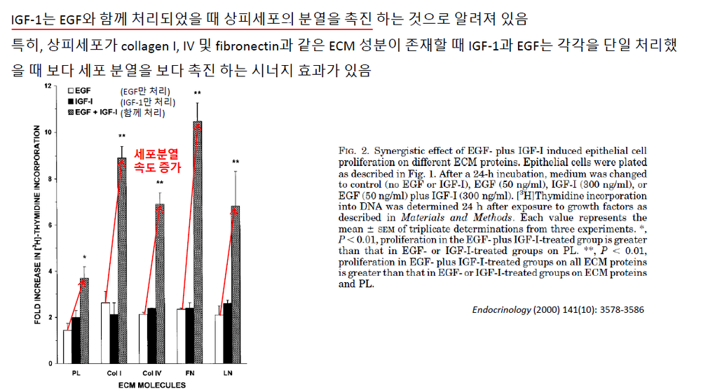 합성 효능1.png