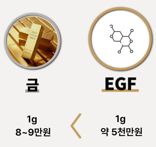 fa024845d58d2.png