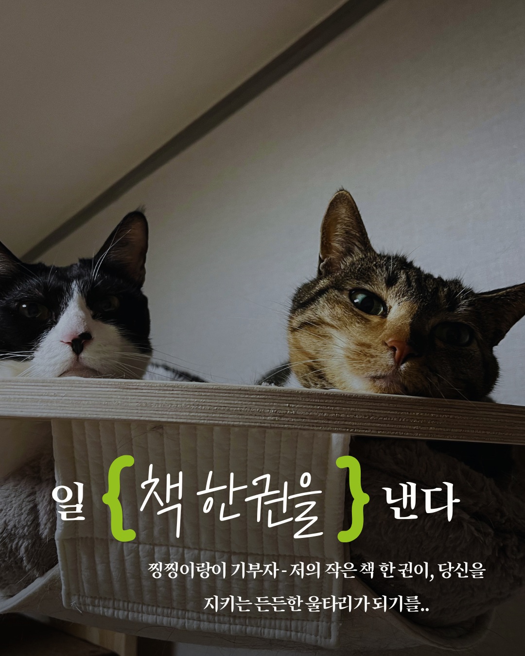 870c70627d603.png