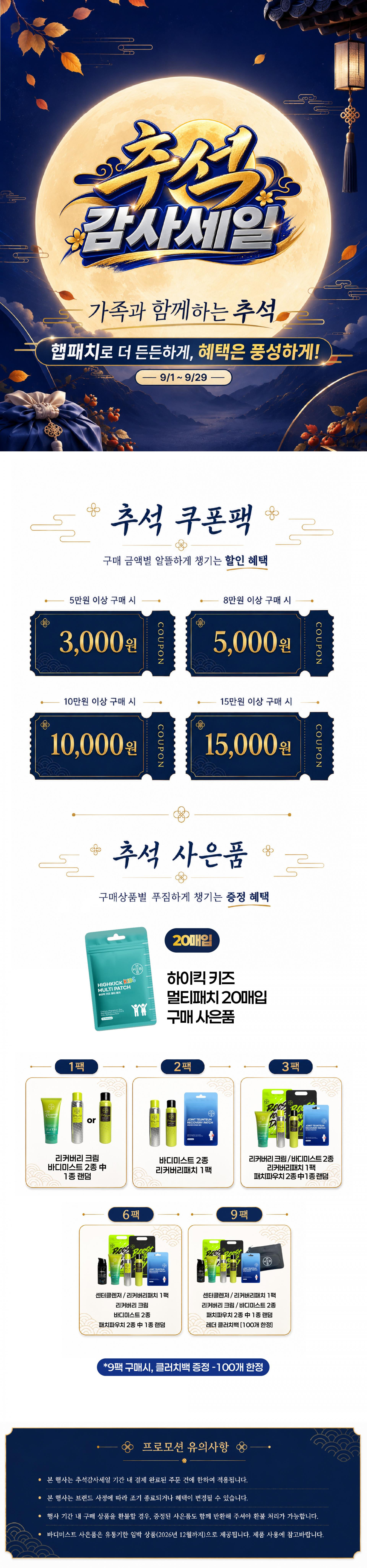 HEB 햅 하이킥키즈 멀티패치 20매입