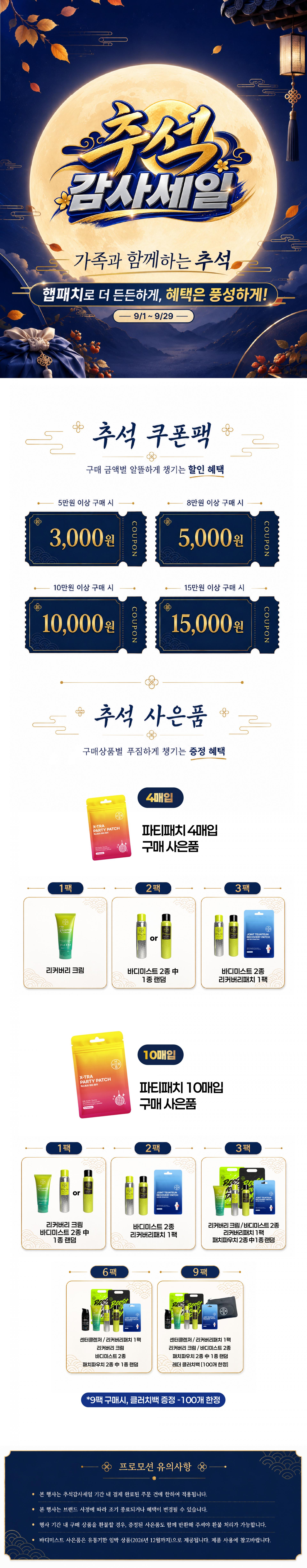 HEB 햅 엑스트라 파티패치 10매입