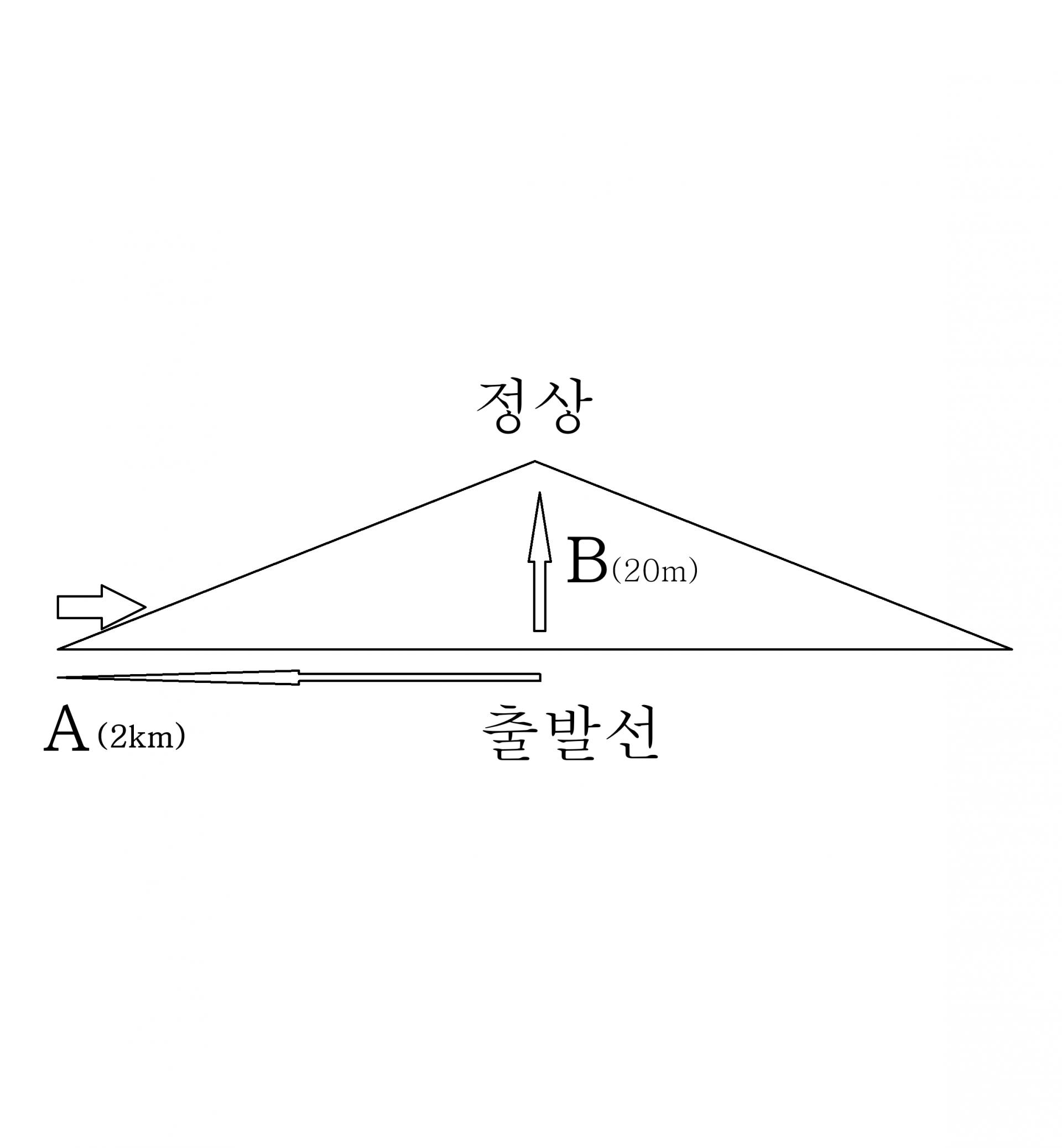 e91445e60e03c.png