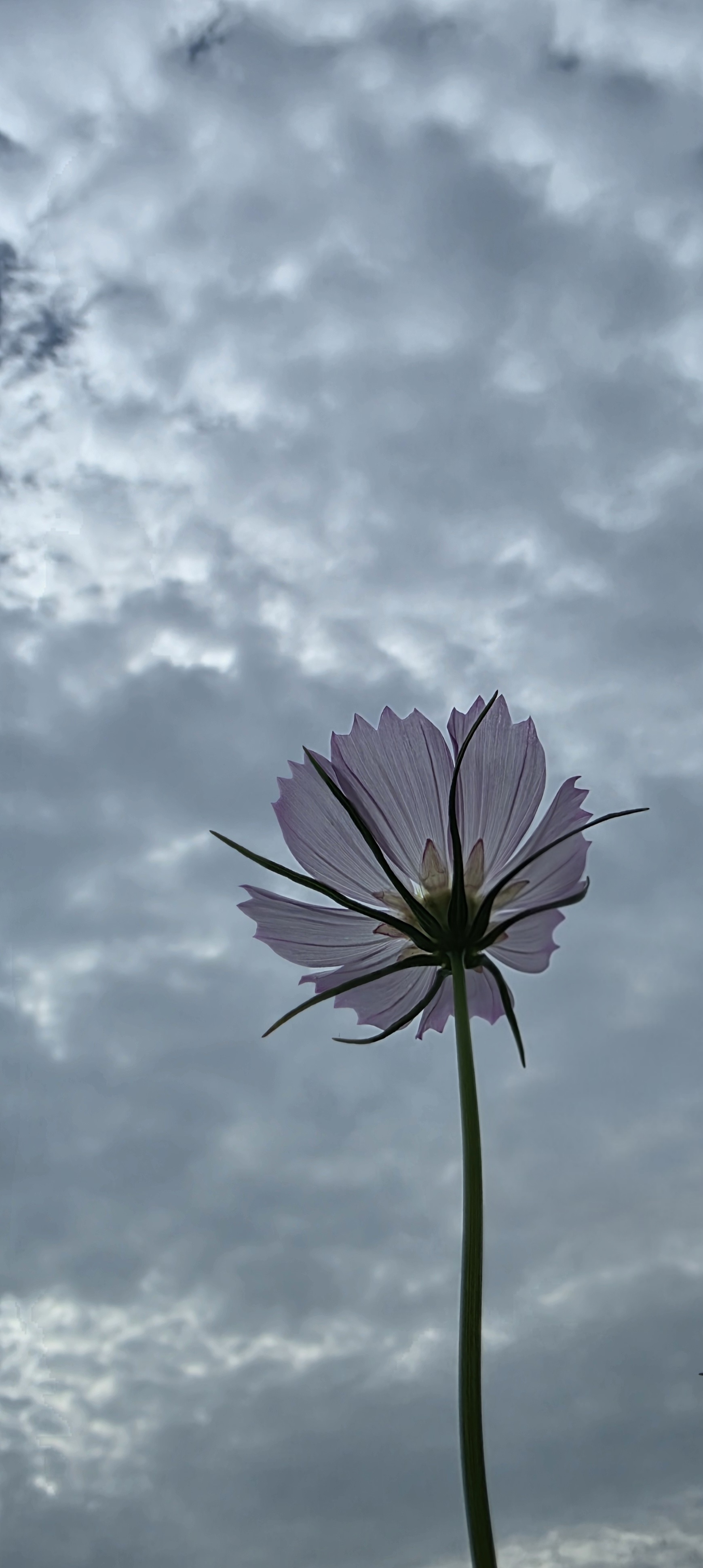 14de88631f10d.jpg